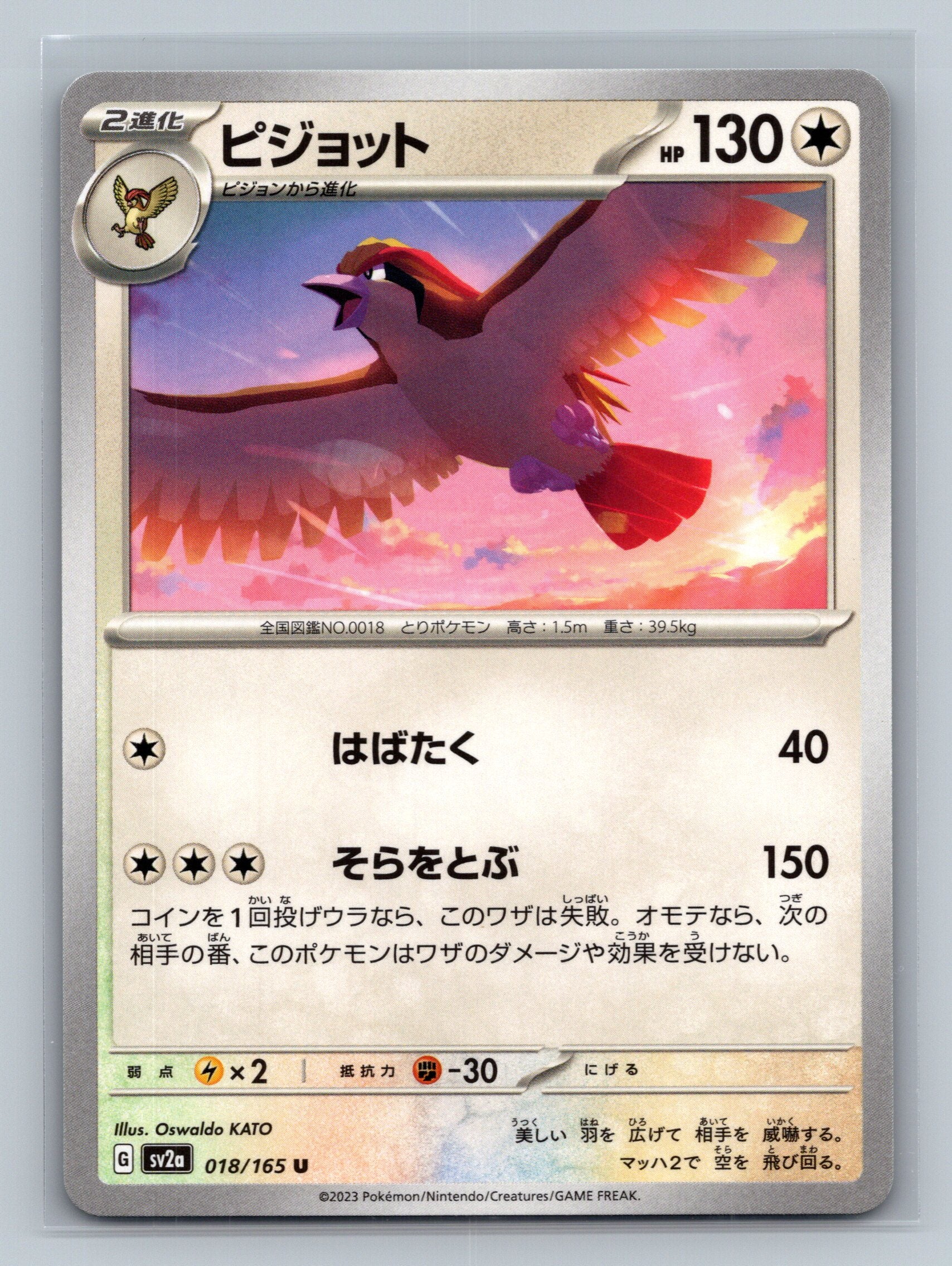Pidgeot