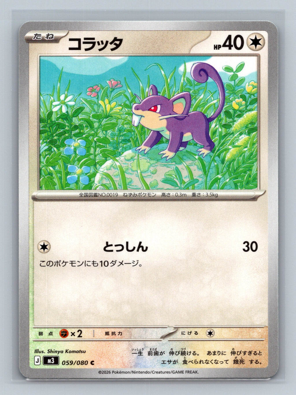 Rattata