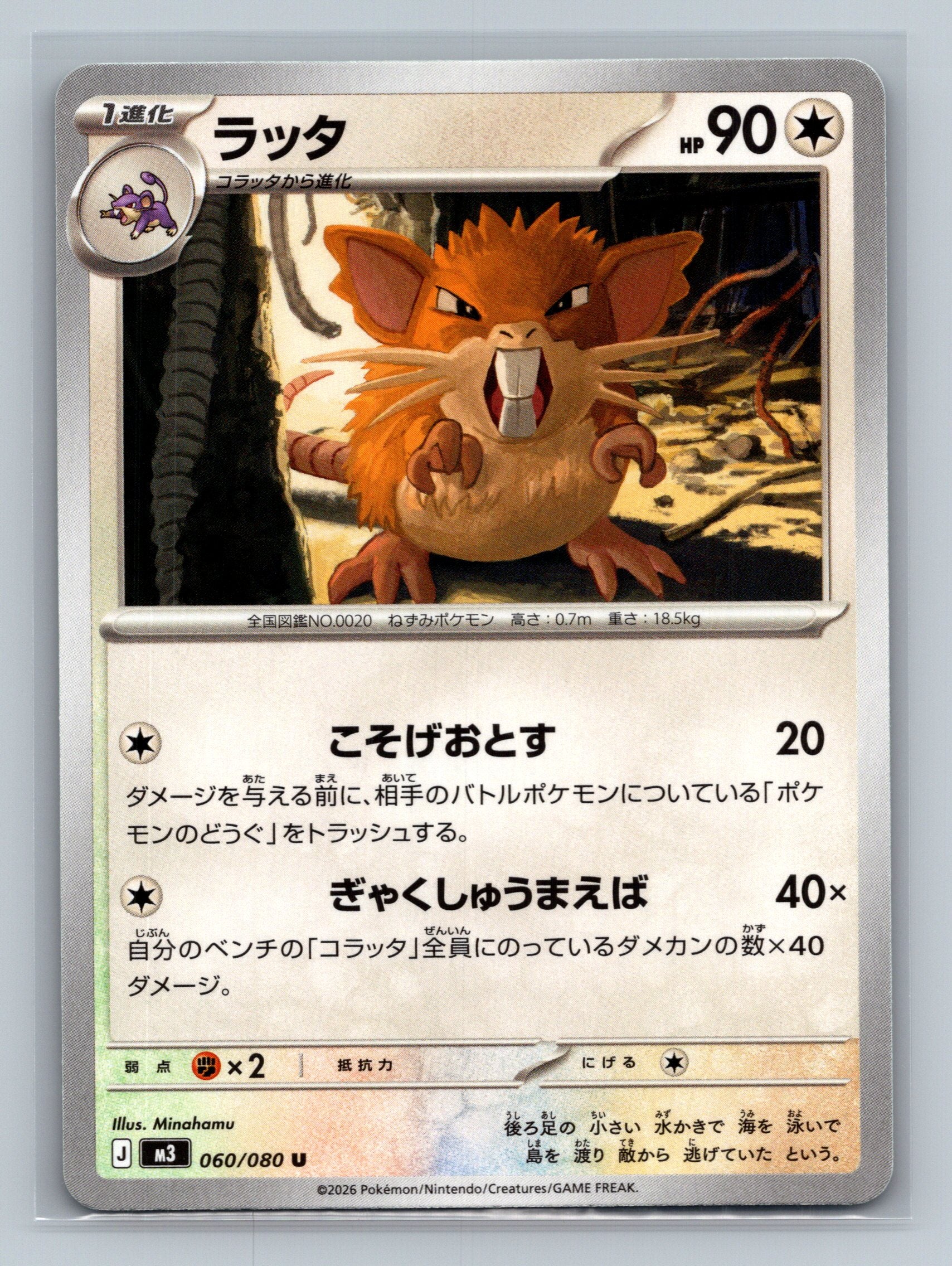 Raticate - 060/080