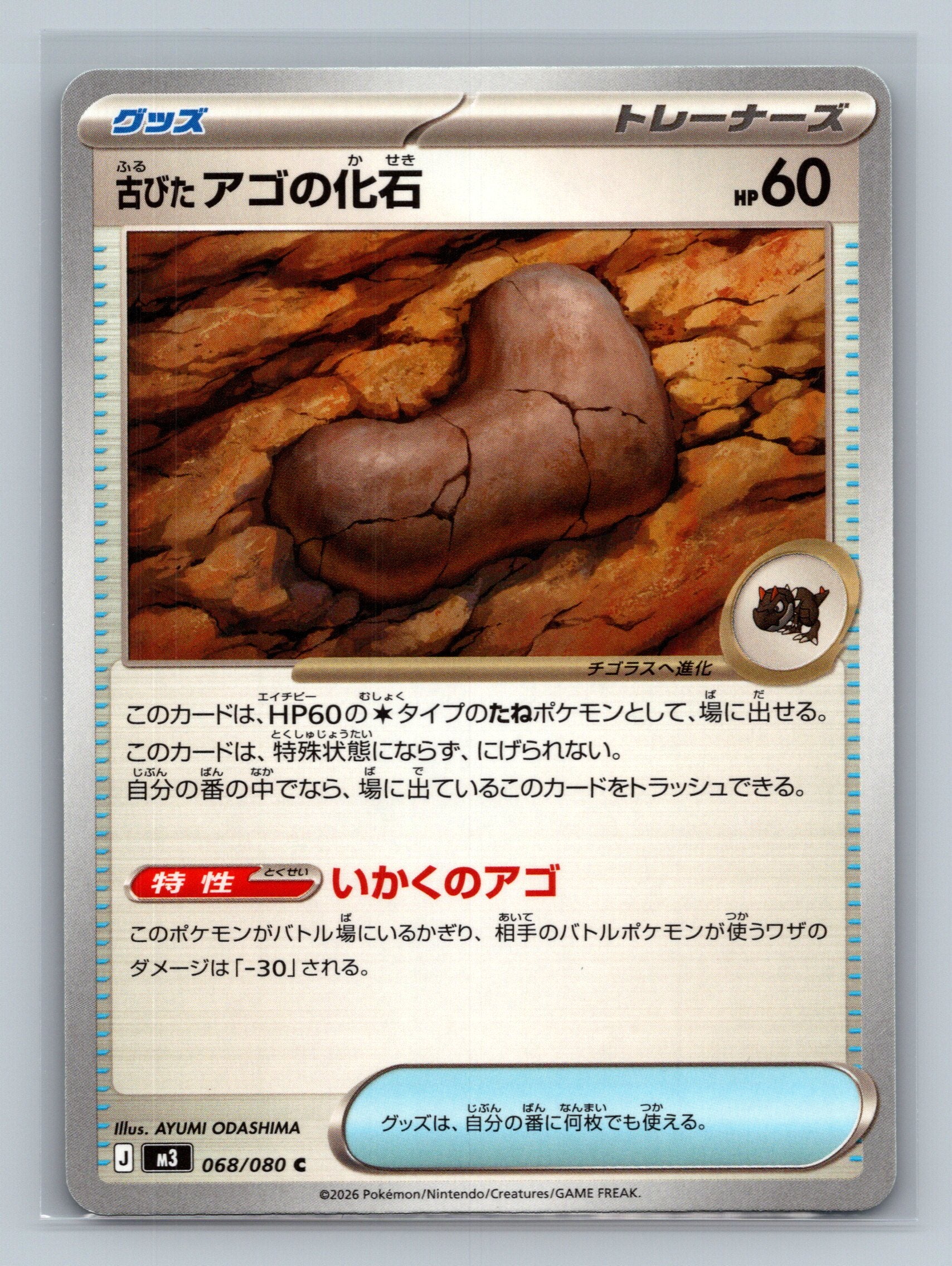 Antique Jaw Fossil