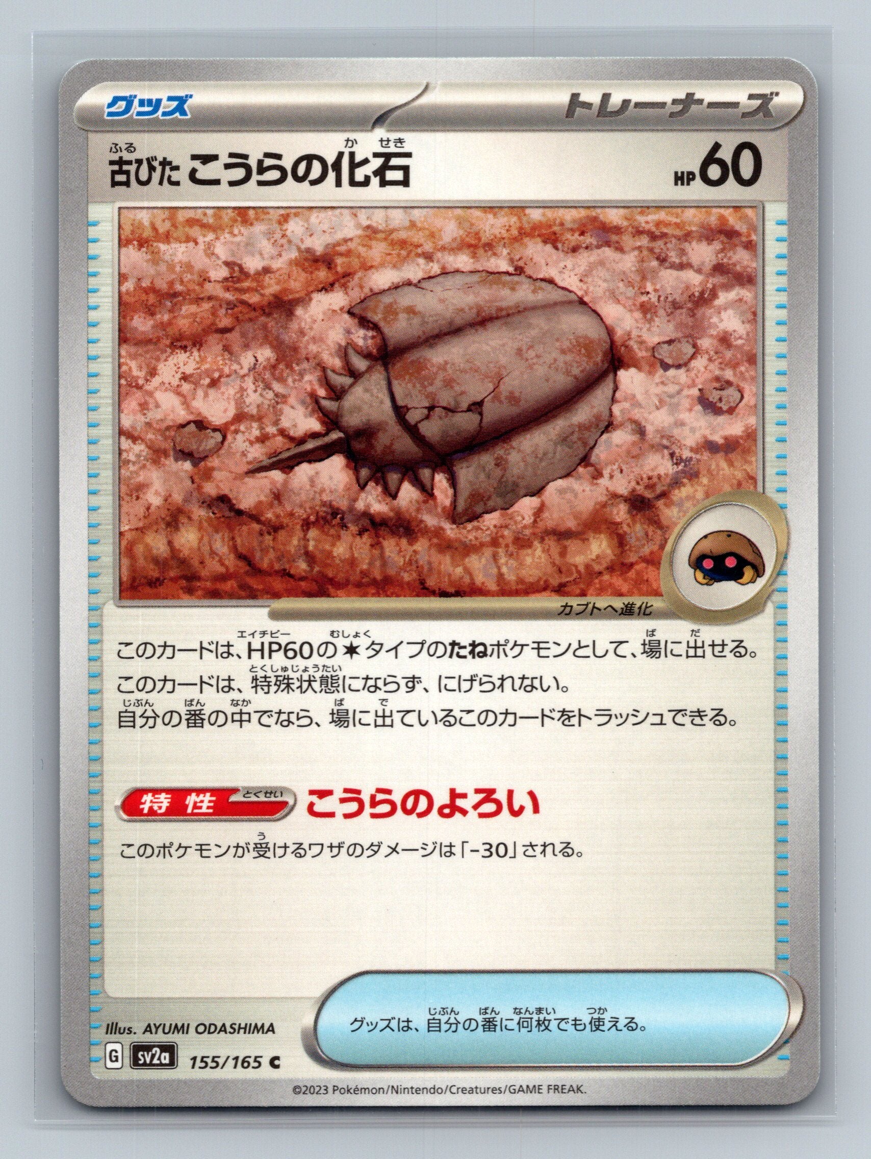 Antique Dome Fossil