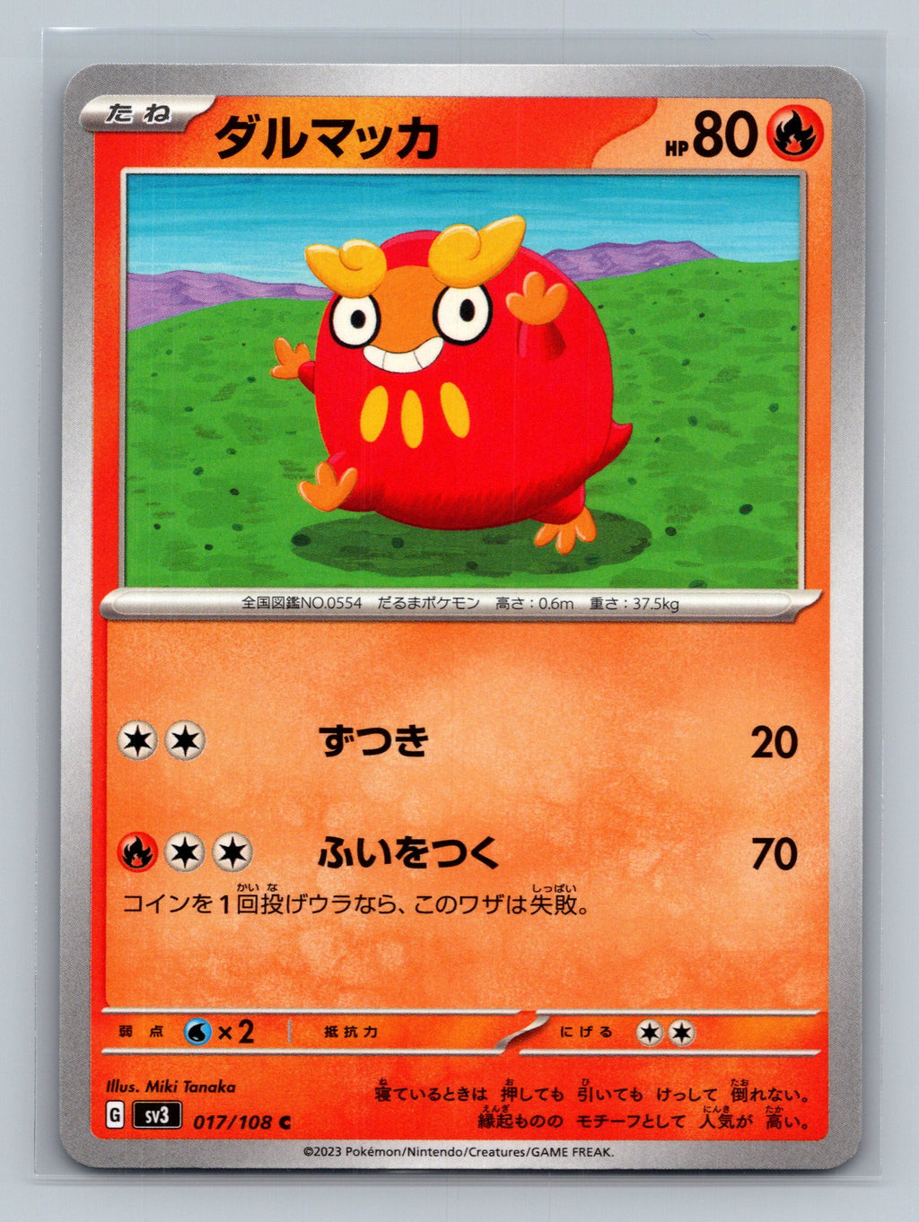 Darumaka