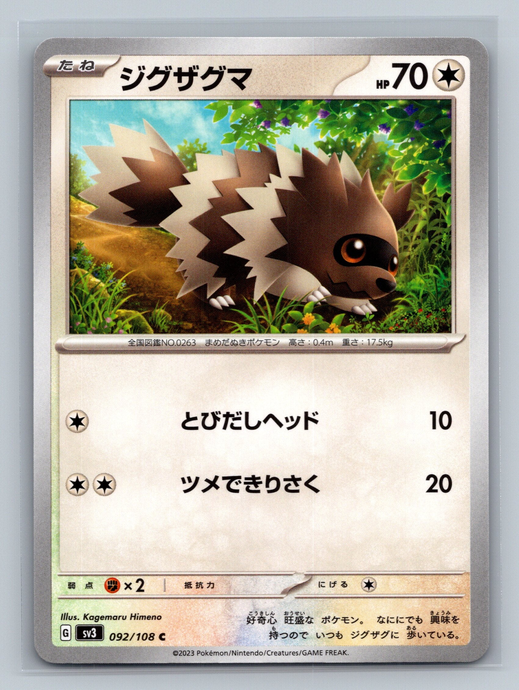 Zigzagoon