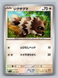 Zigzagoon