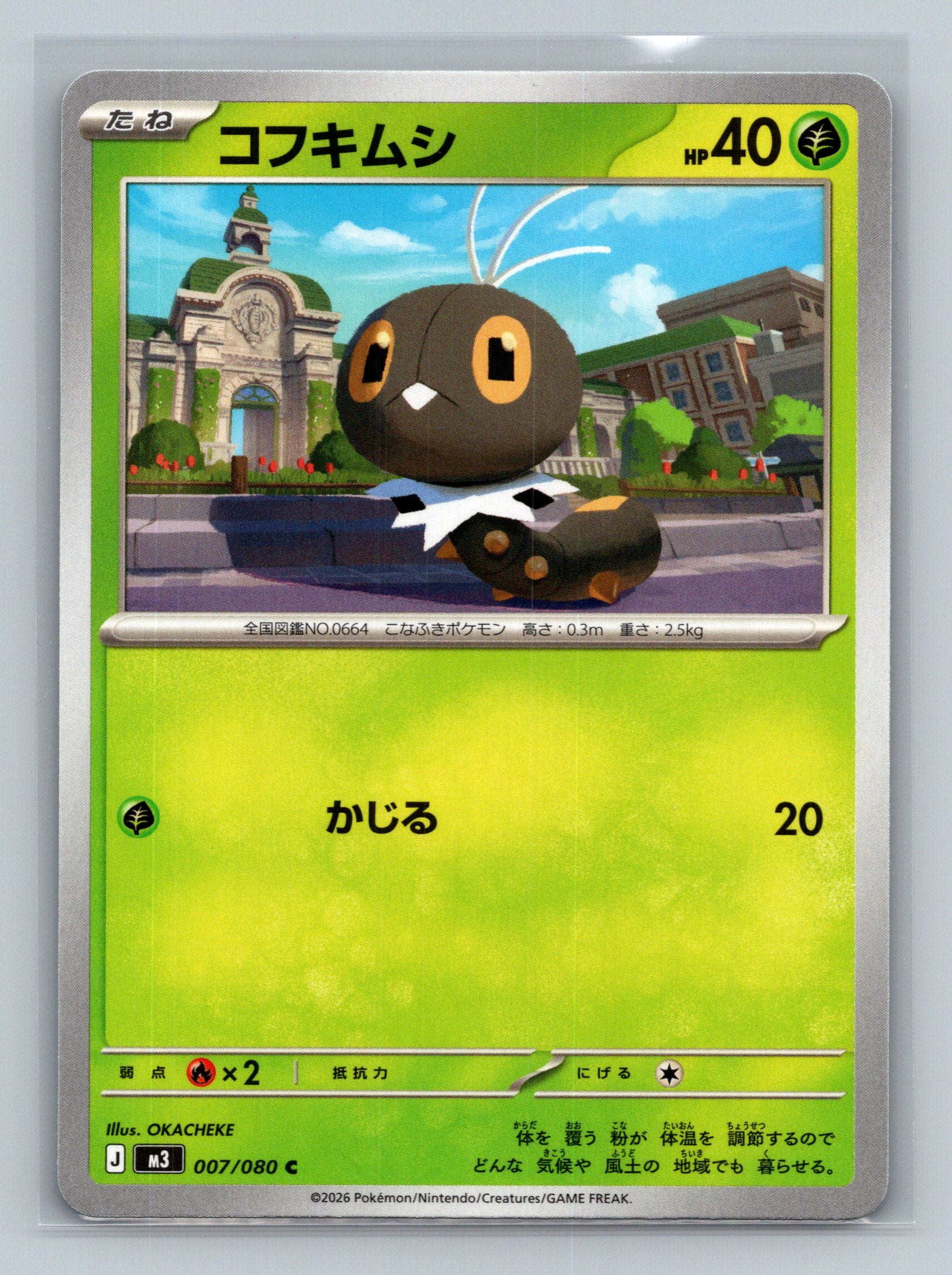 Scatterbug