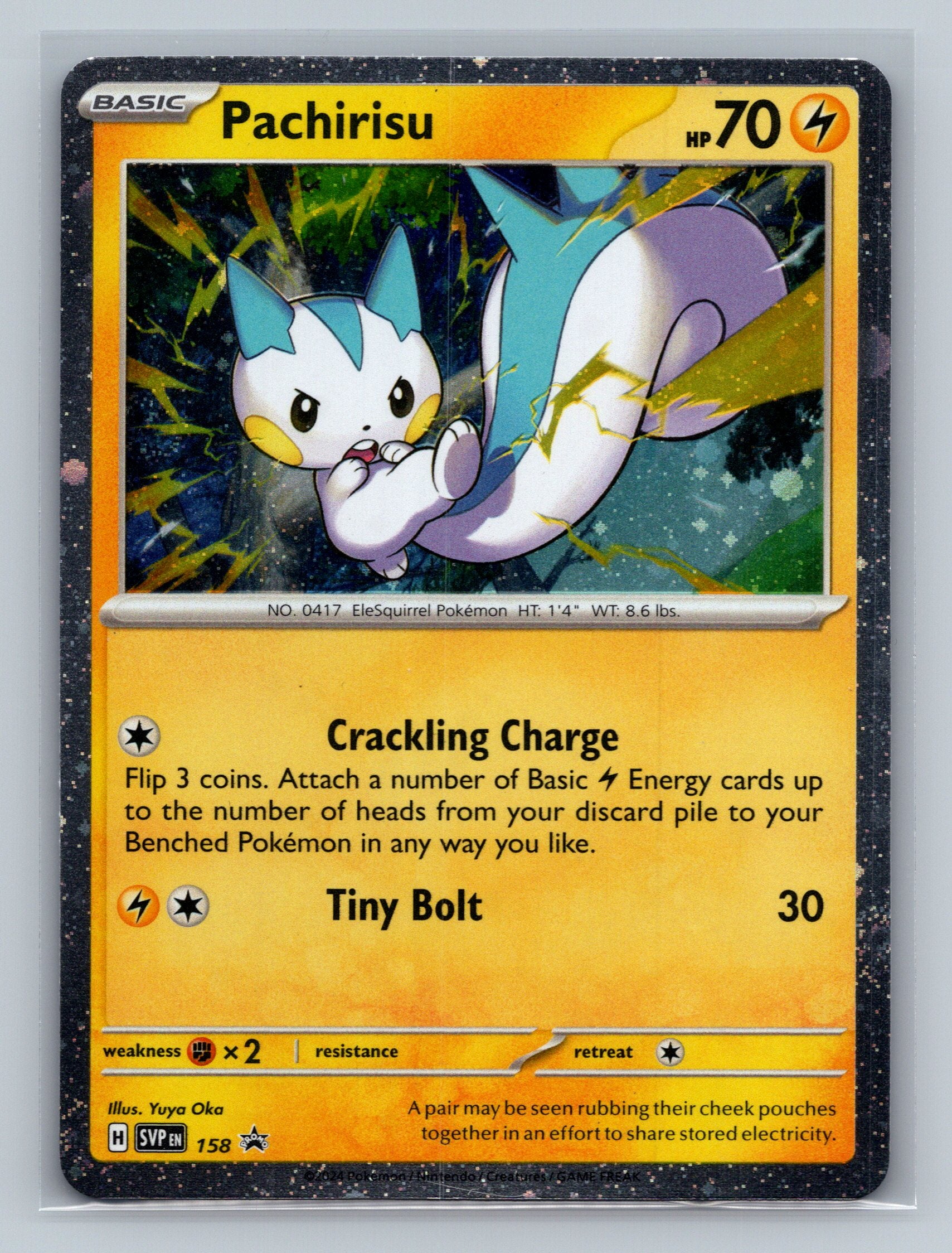 Pachirisu - 158