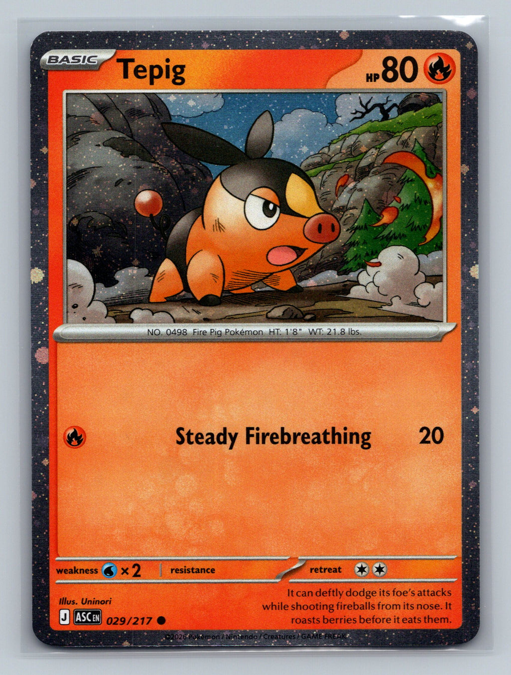 Tepig - 029/217 (Cosmos Holo)