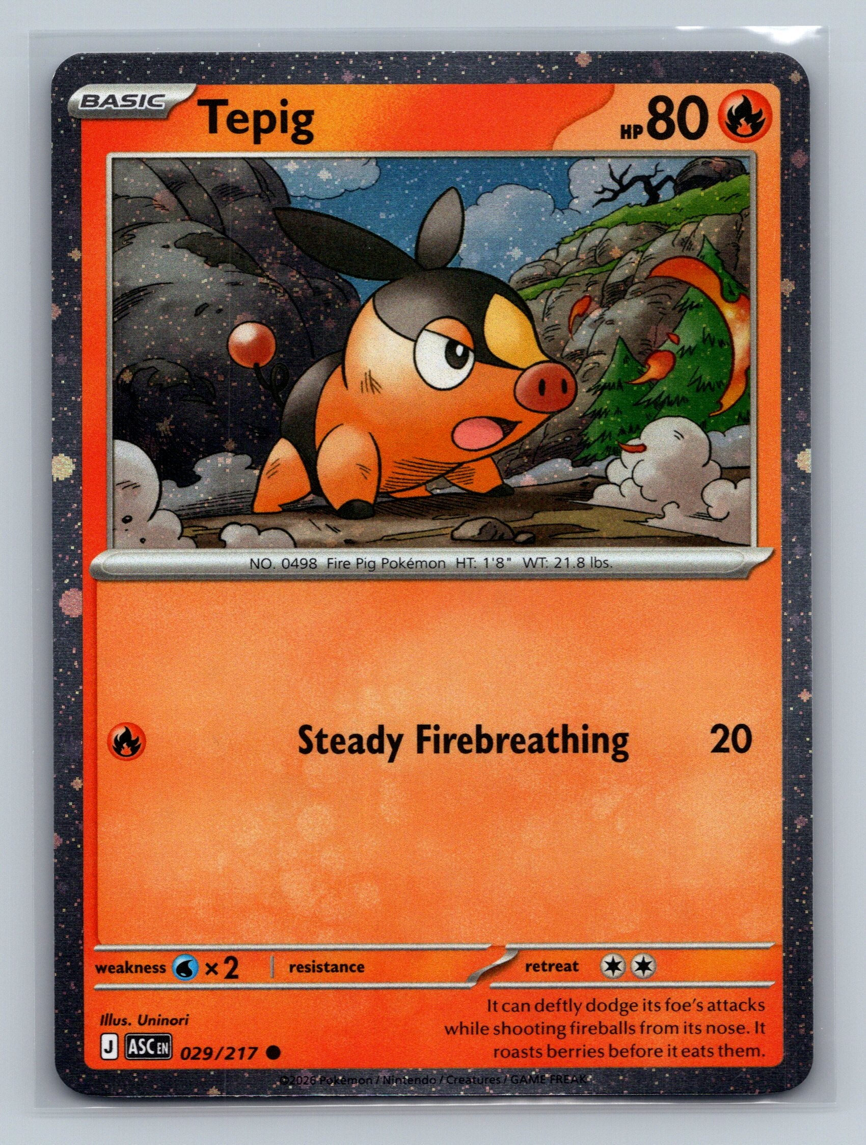 Tepig - 029/217 (Cosmos Holo)