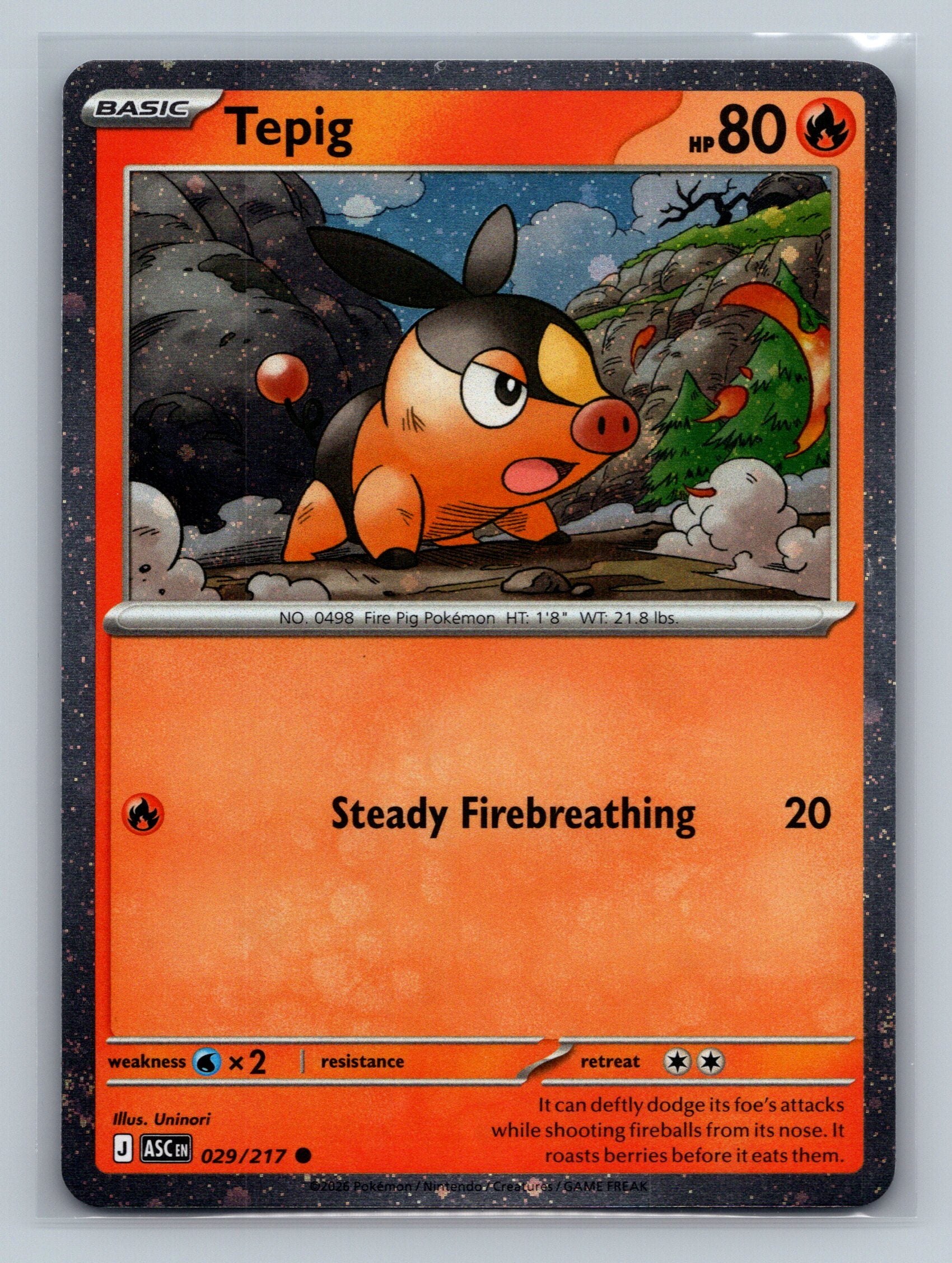 Tepig - 029/217 (Cosmos Holo)