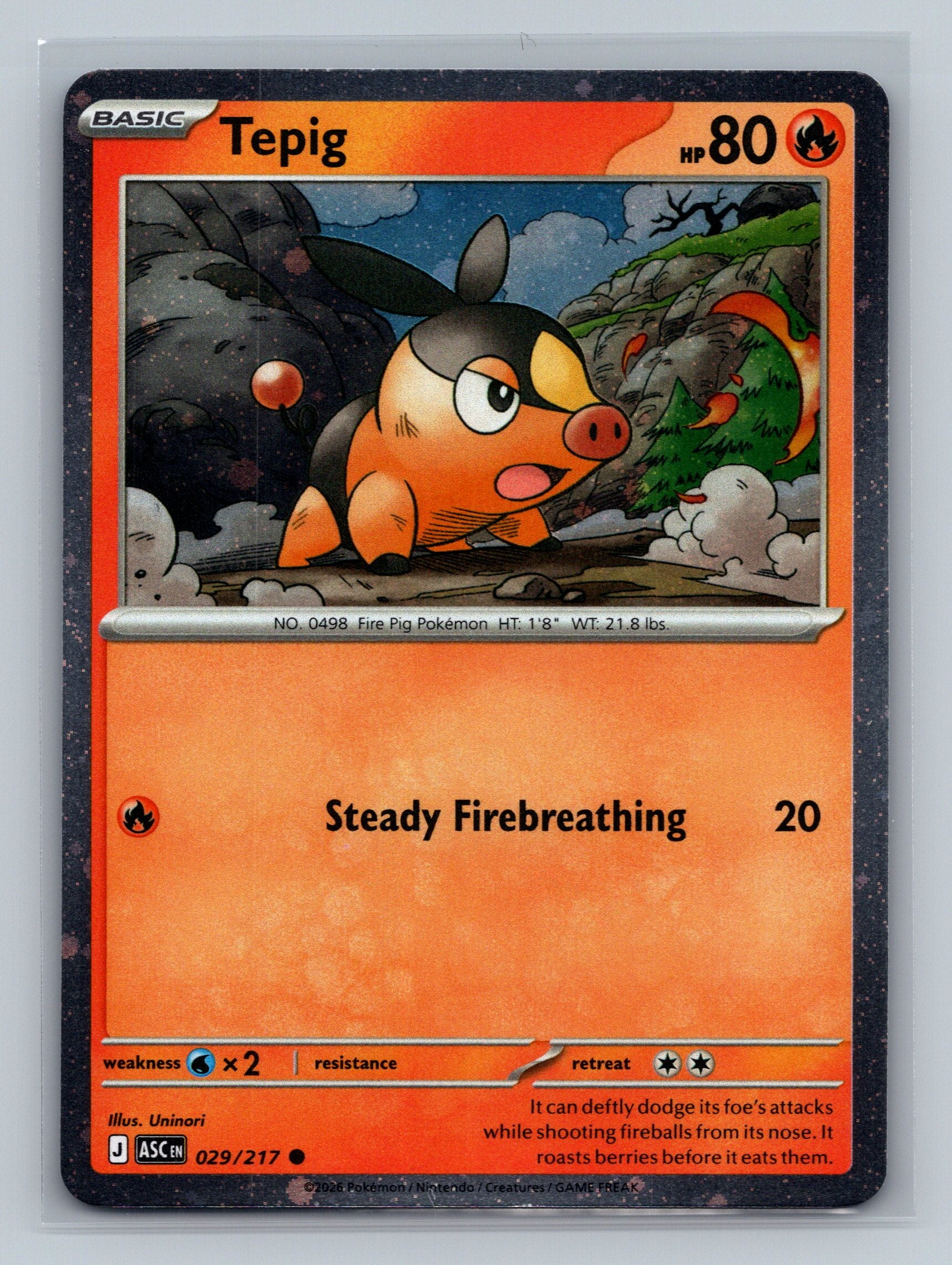 Tepig - 029/217 (Cosmos Holo)