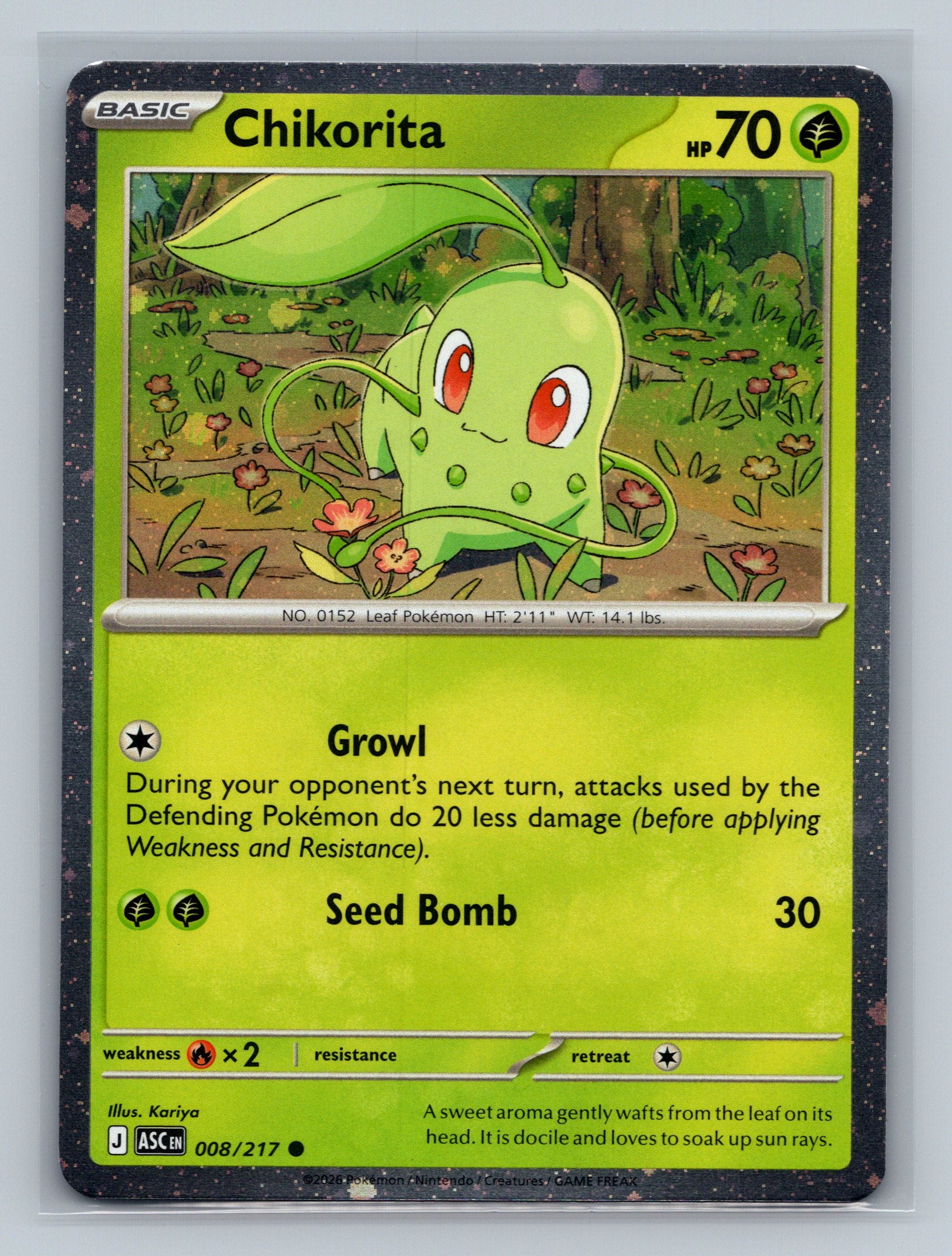 Chikorita (Cosmos Holo)