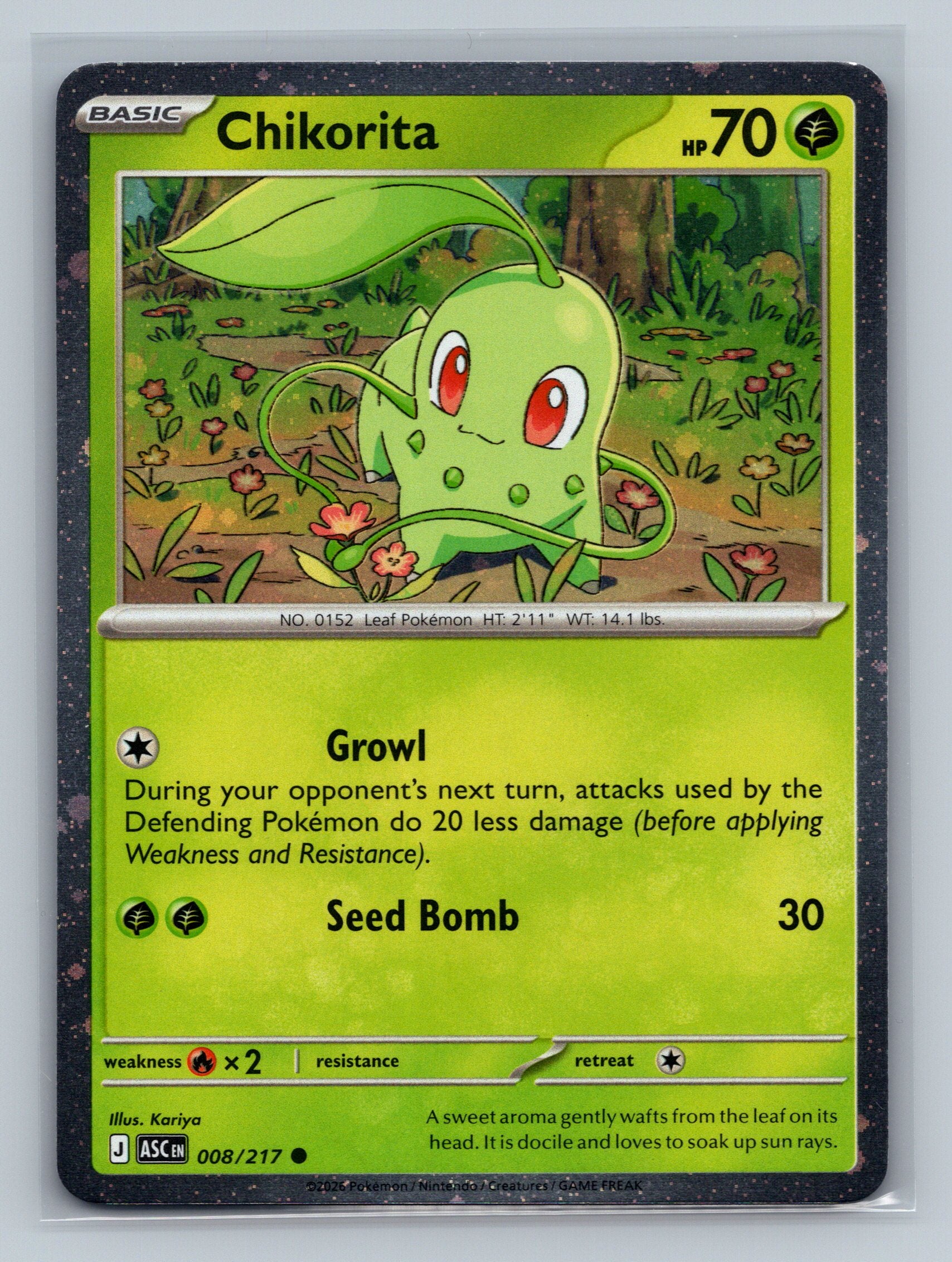 Chikorita (Cosmos Holo)