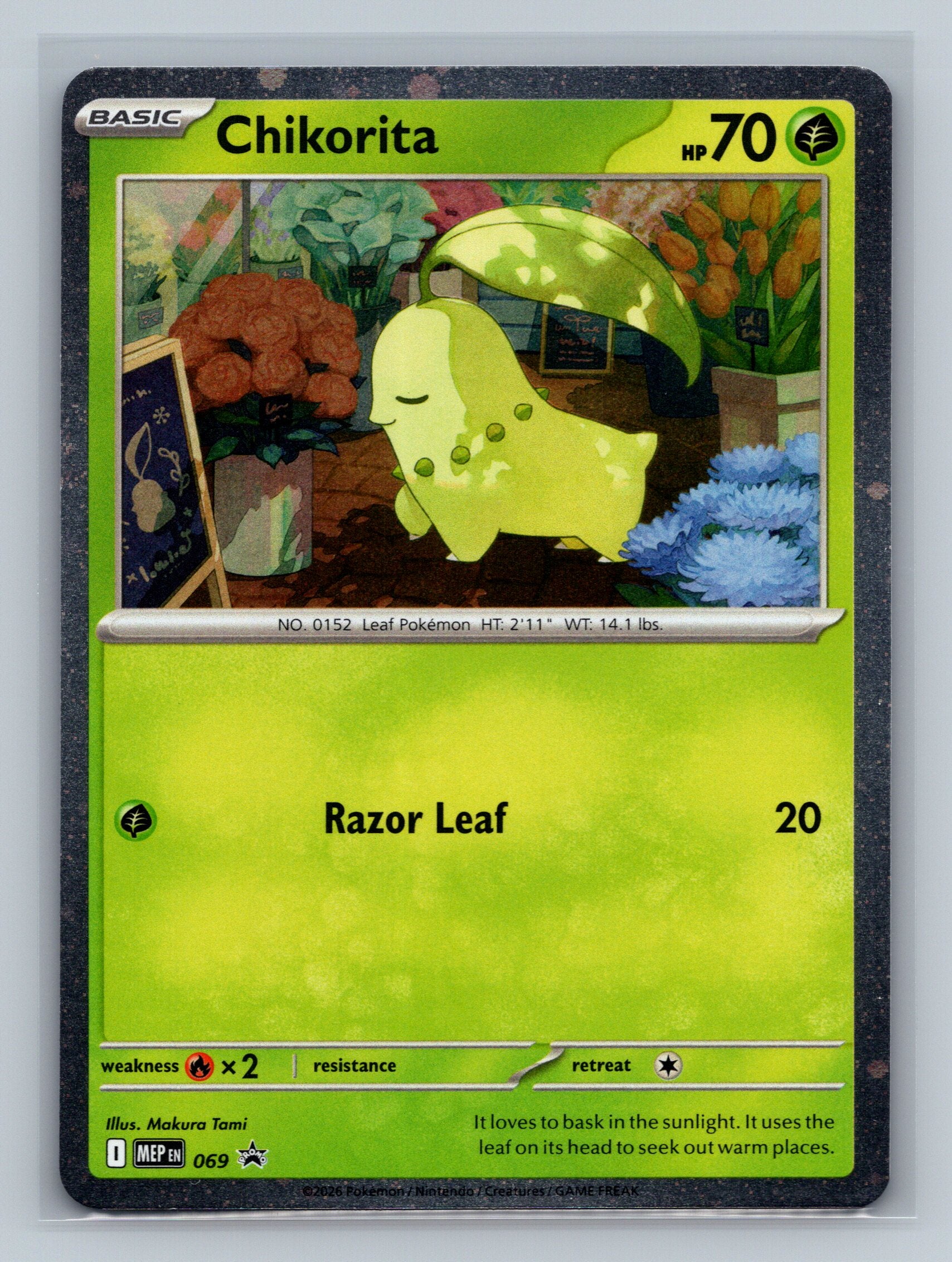 Chikorita (Cosmos Holo)