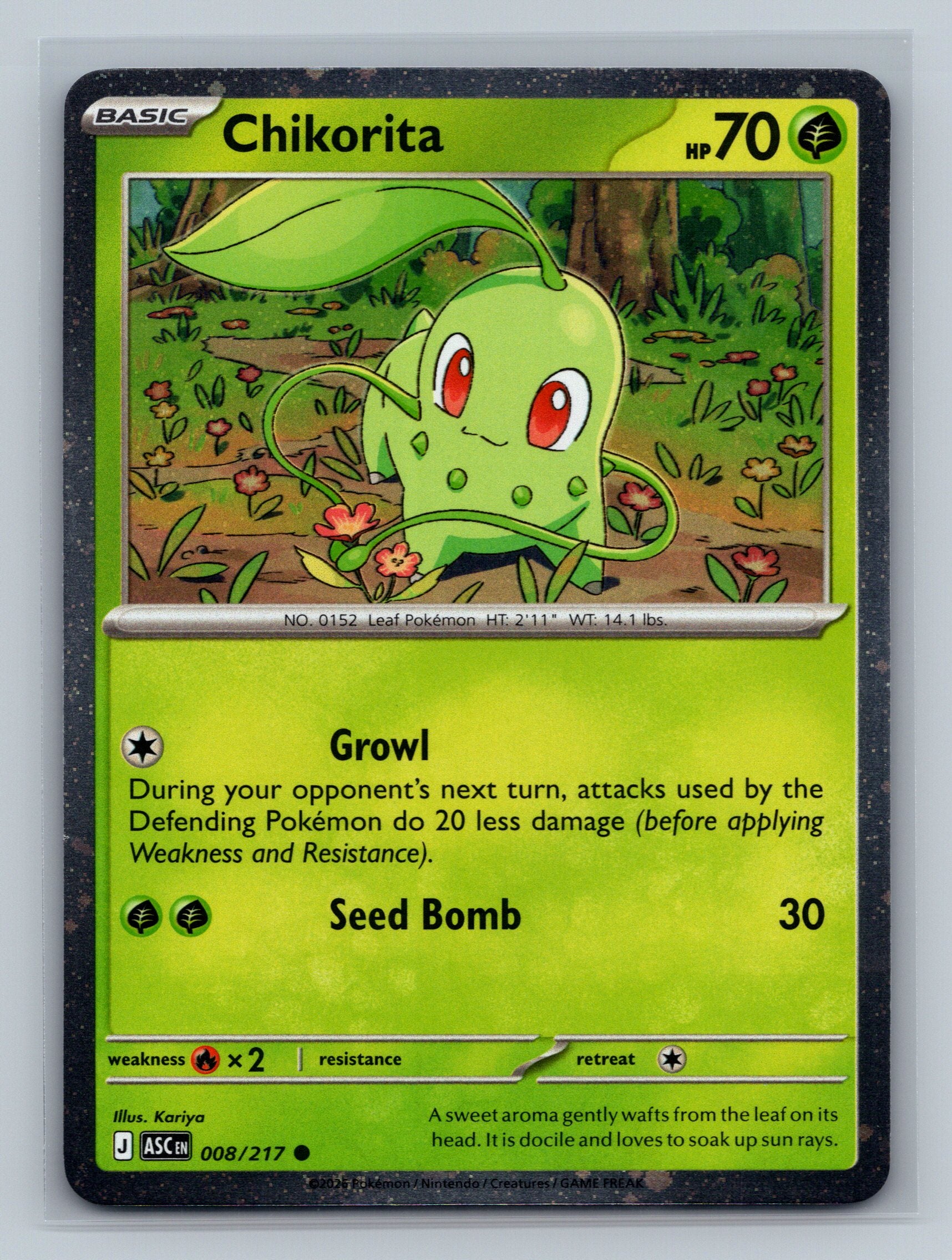 Chikorita (Cosmos Holo)
