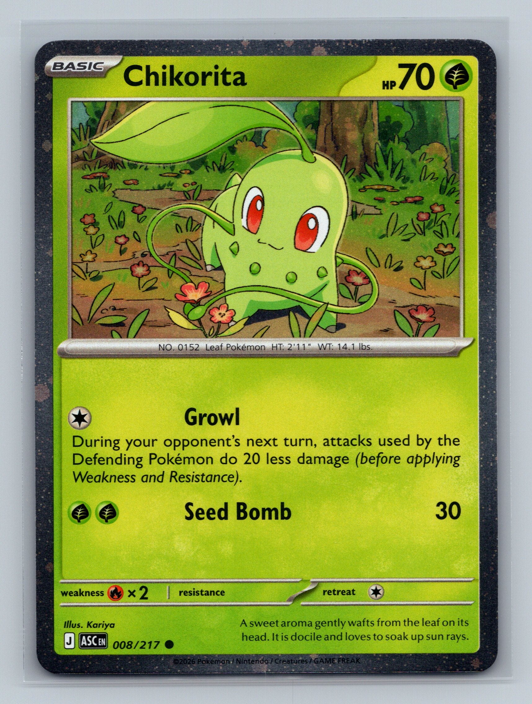 Chikorita (Cosmos Holo)