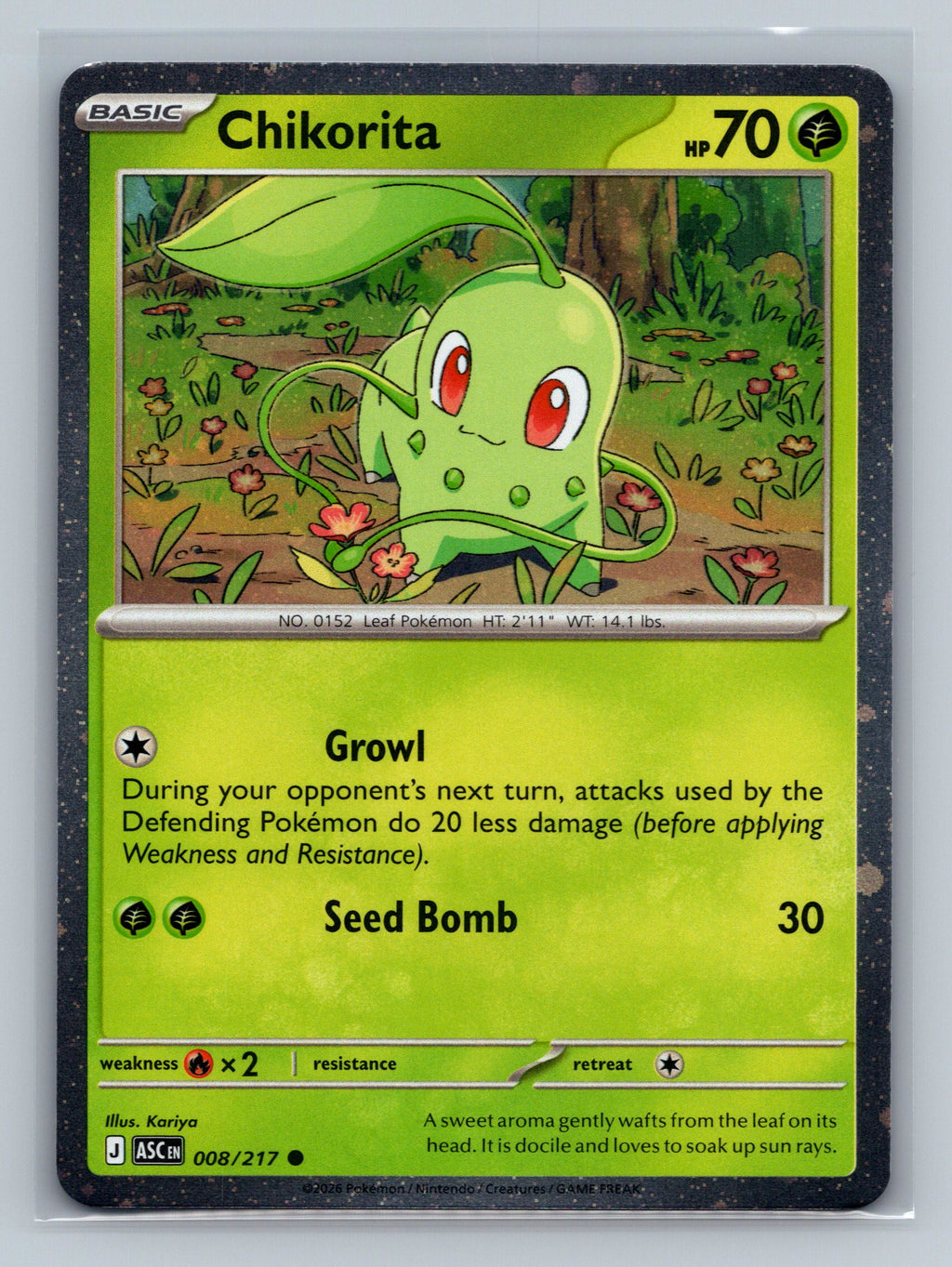 Chikorita (Cosmos Holo)
