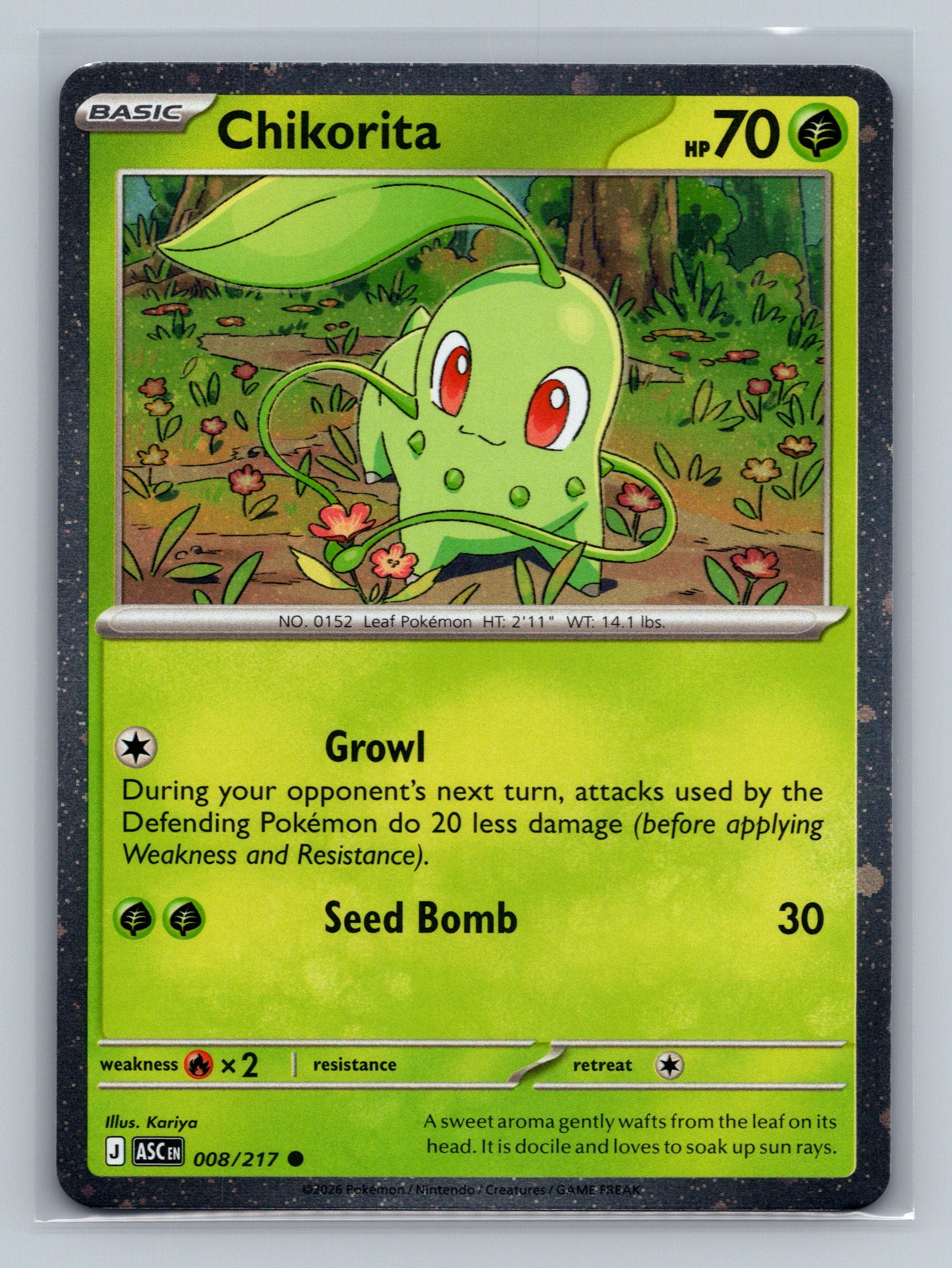 Chikorita (Cosmos Holo)