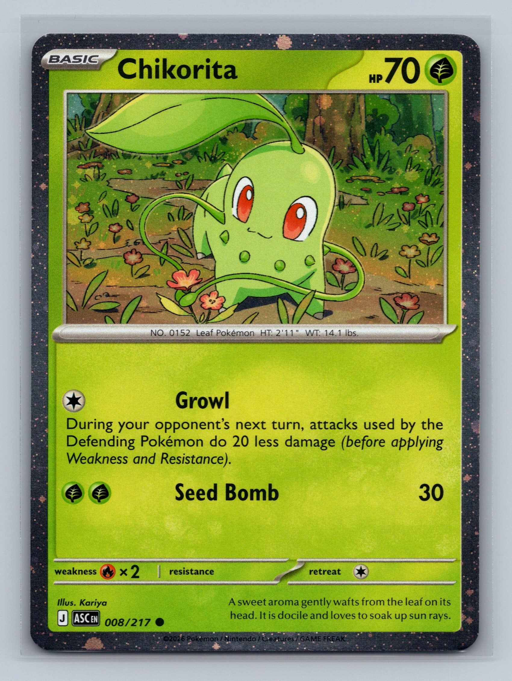 Chikorita (Cosmos Holo)