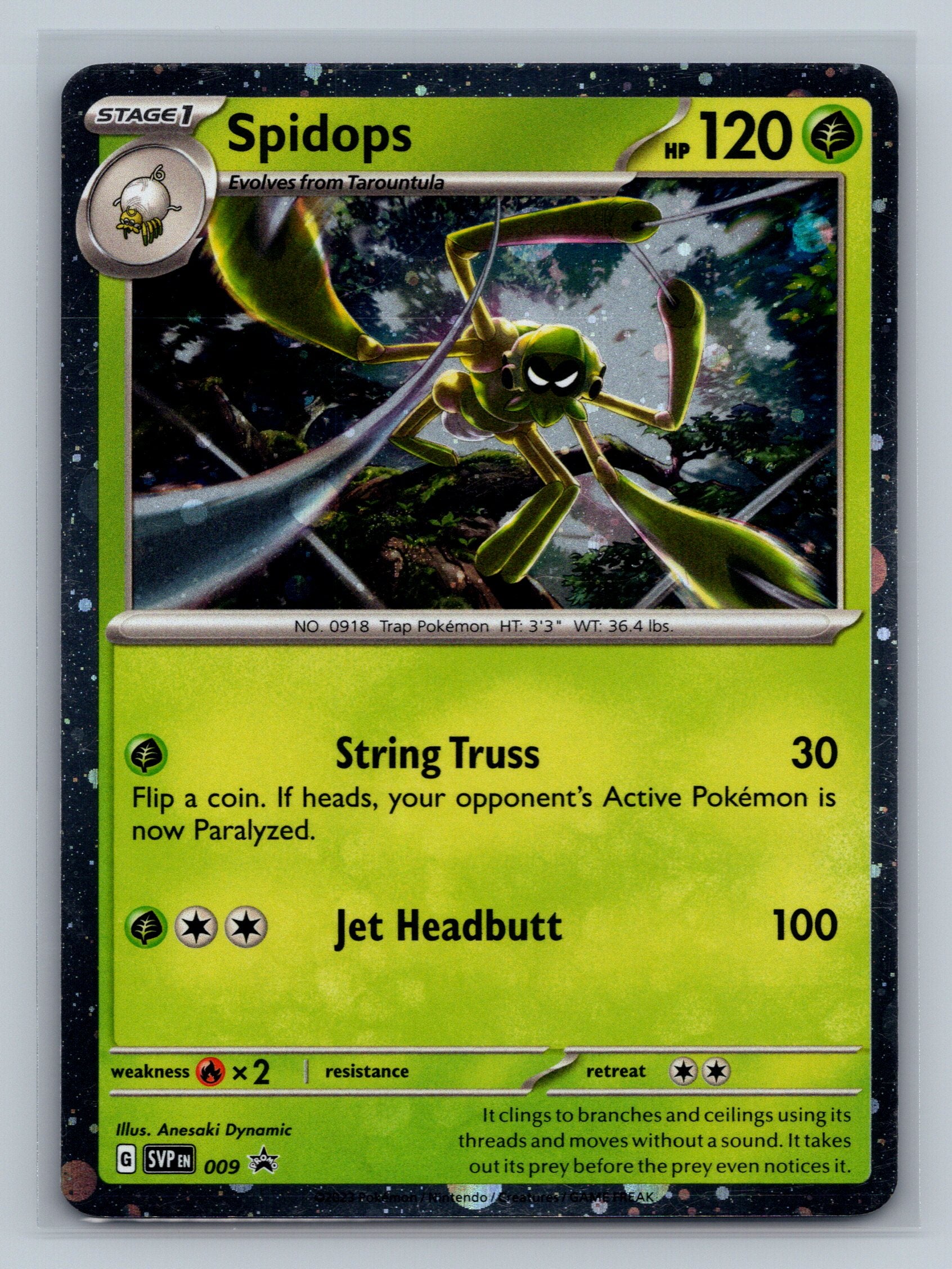 Spidops - 009