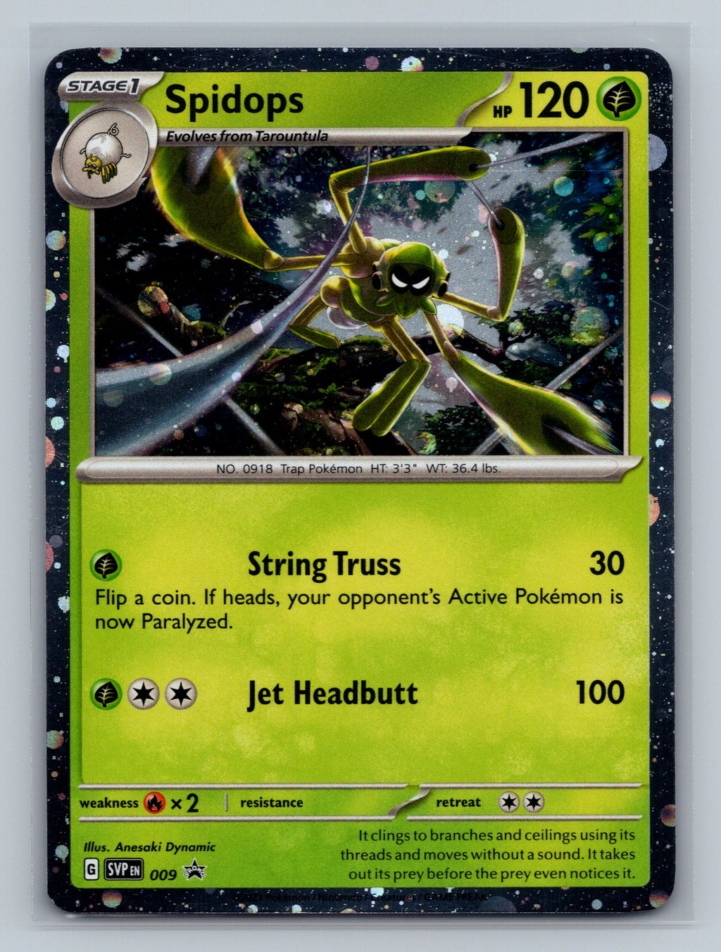 Spidops - 009