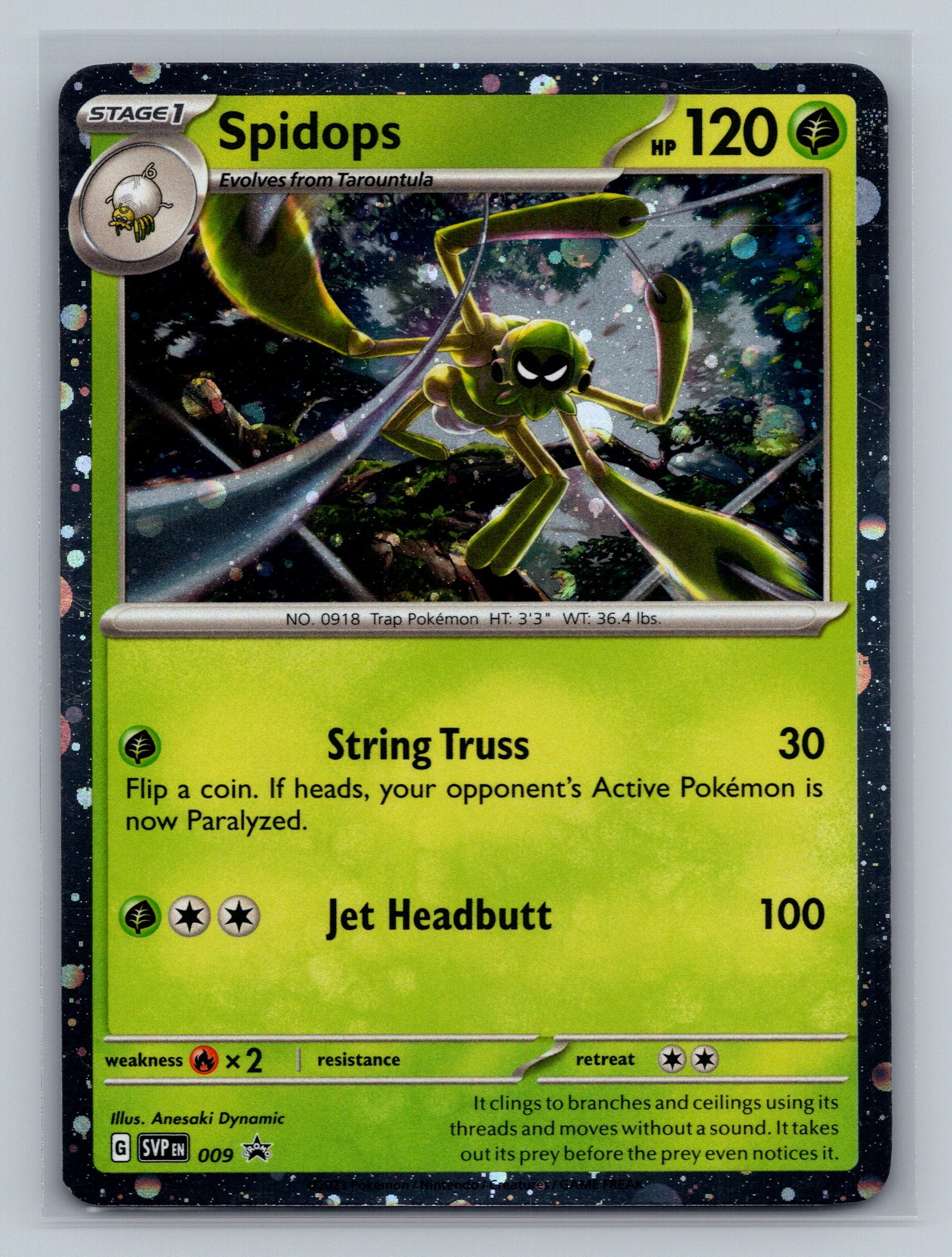 Spidops - 009