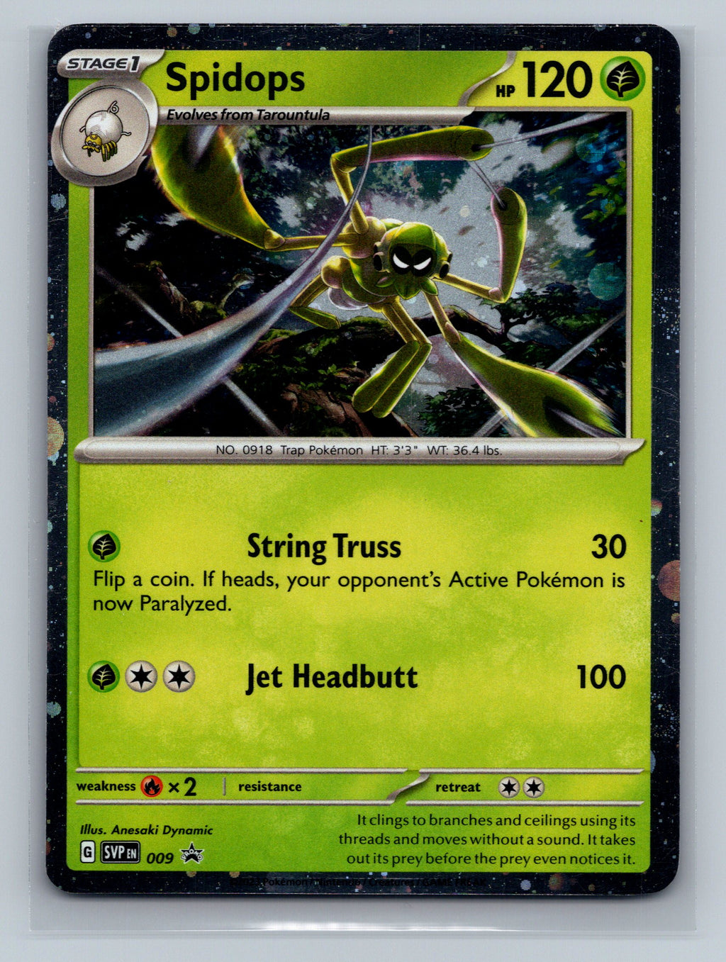 Spidops - 009