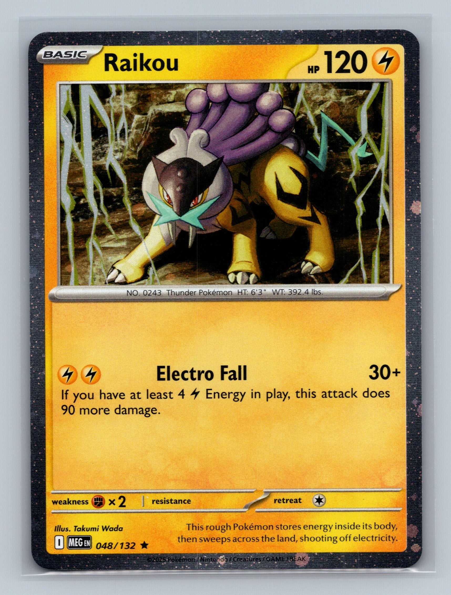 Raikou - 048/132 (Cosmos Holo)