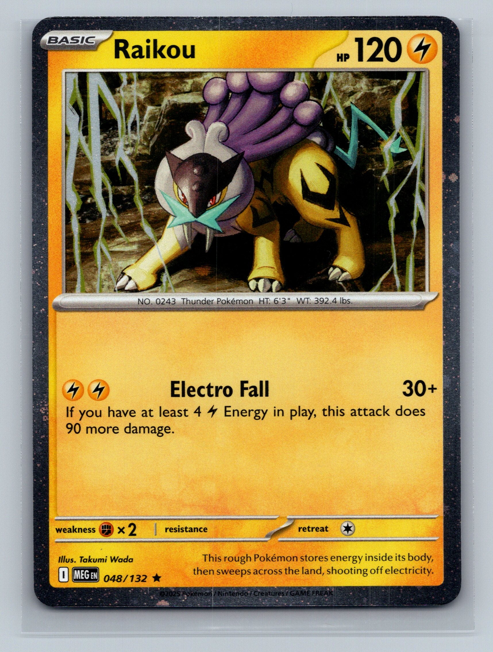 Raikou - 048/132 (Cosmos Holo)