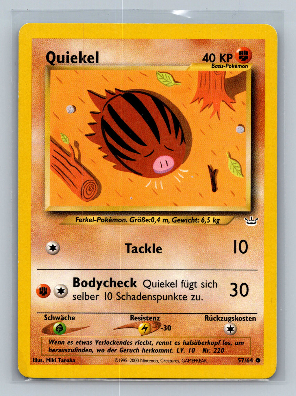 Swinub