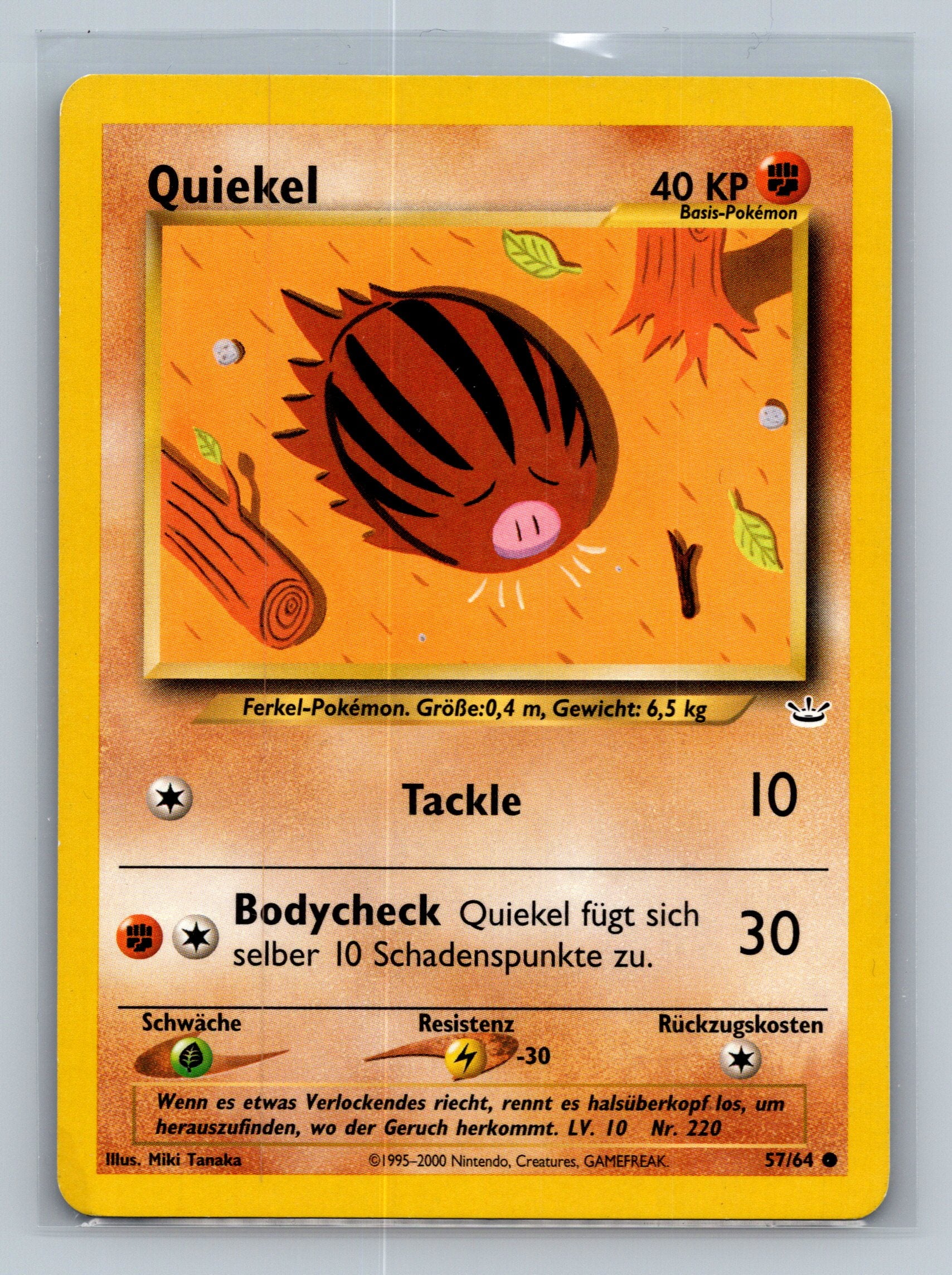 Swinub