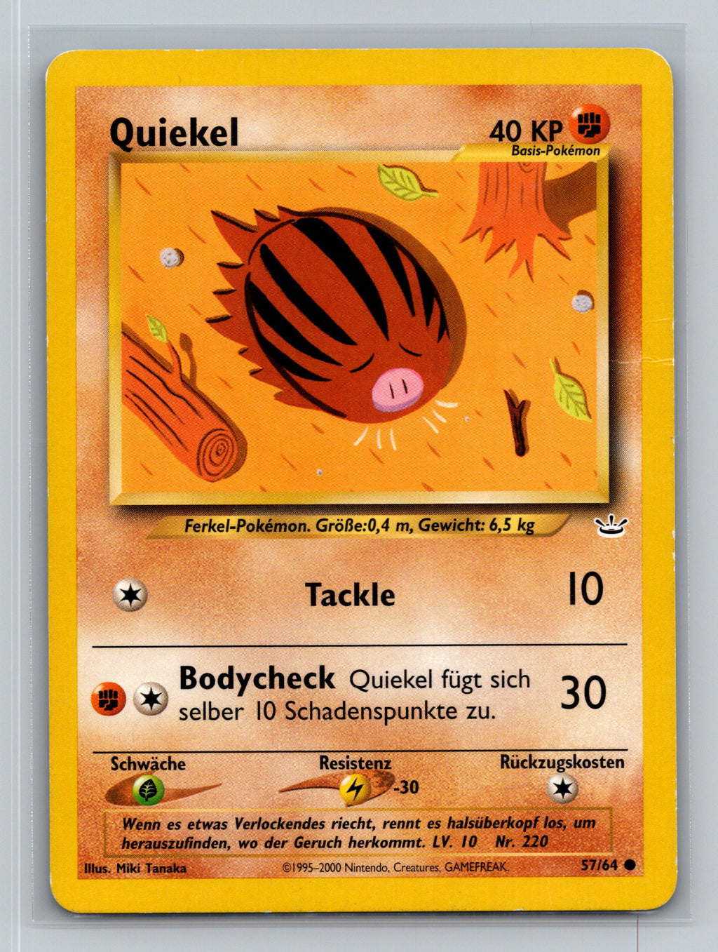 Swinub