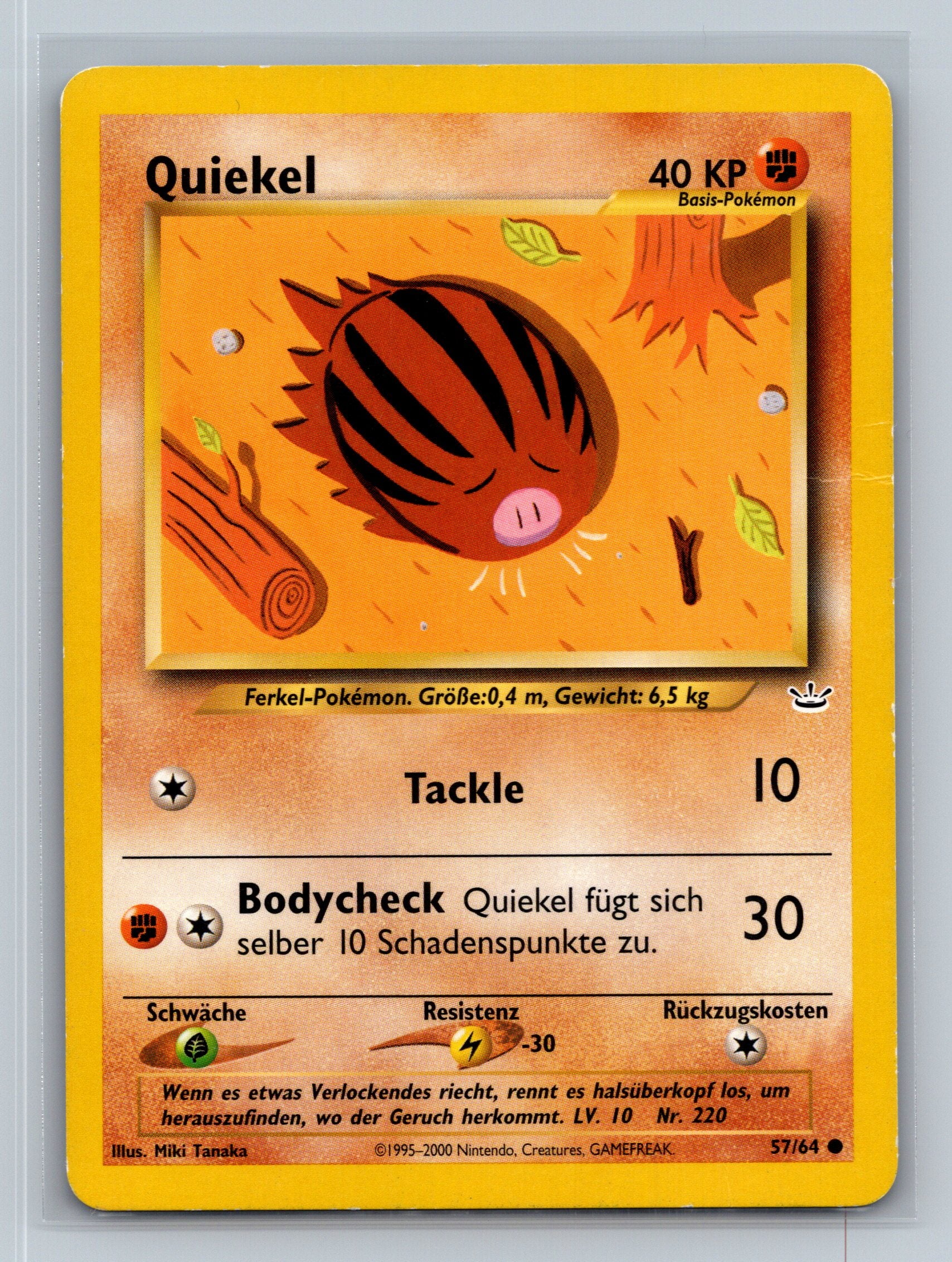 Swinub