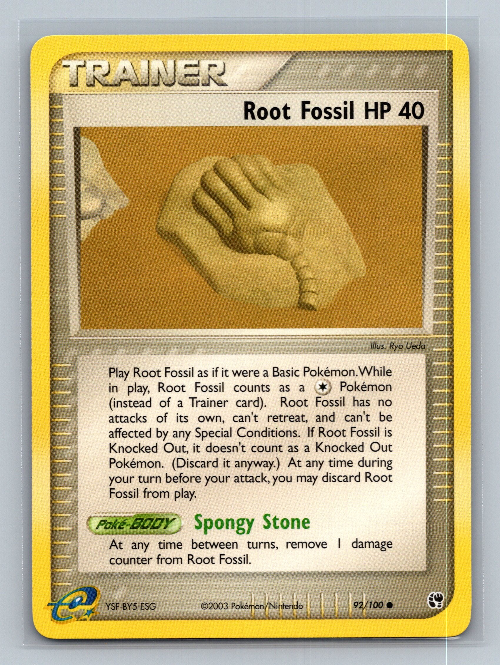 Root Fossil