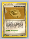 Root Fossil