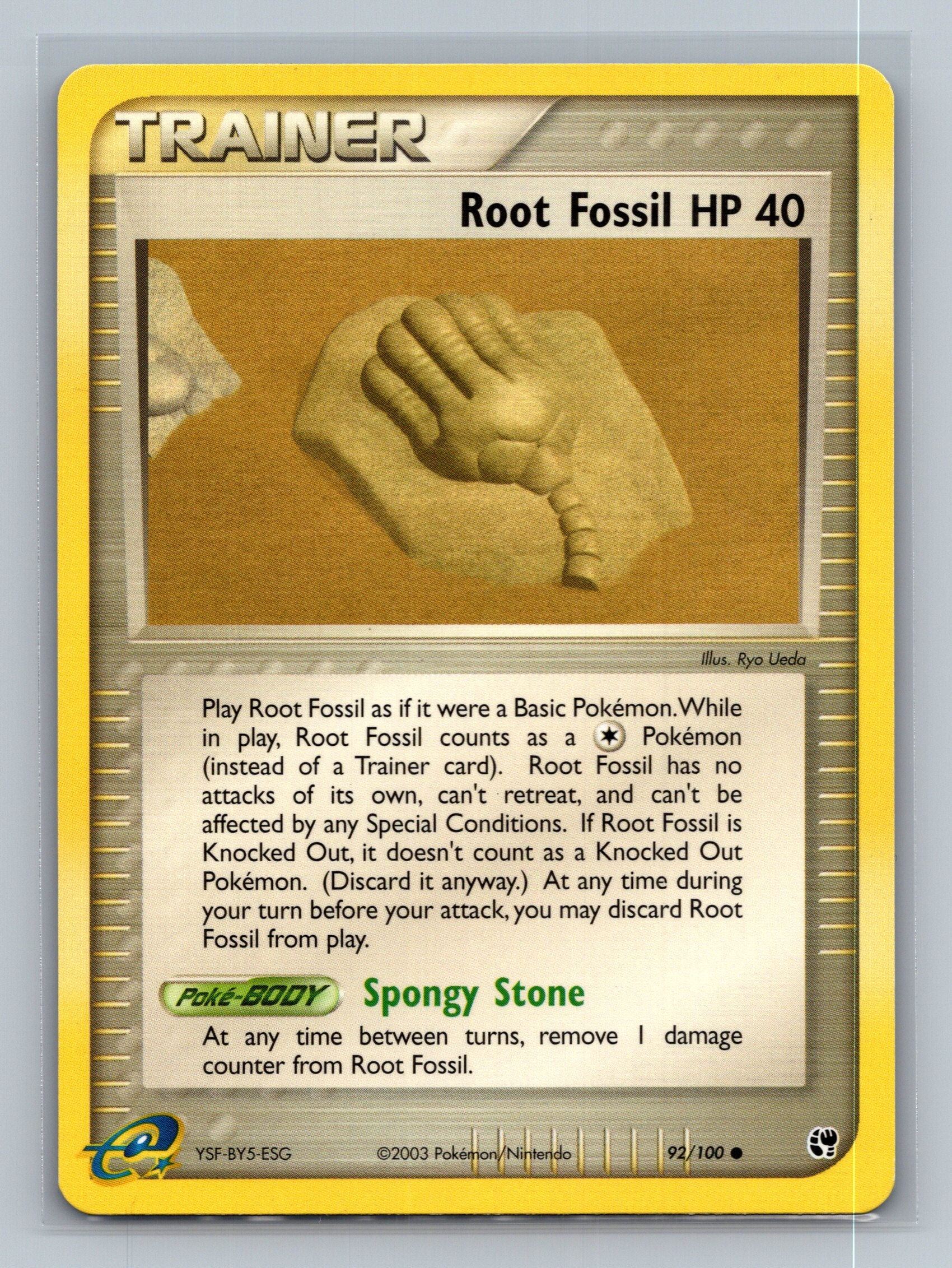Root Fossil