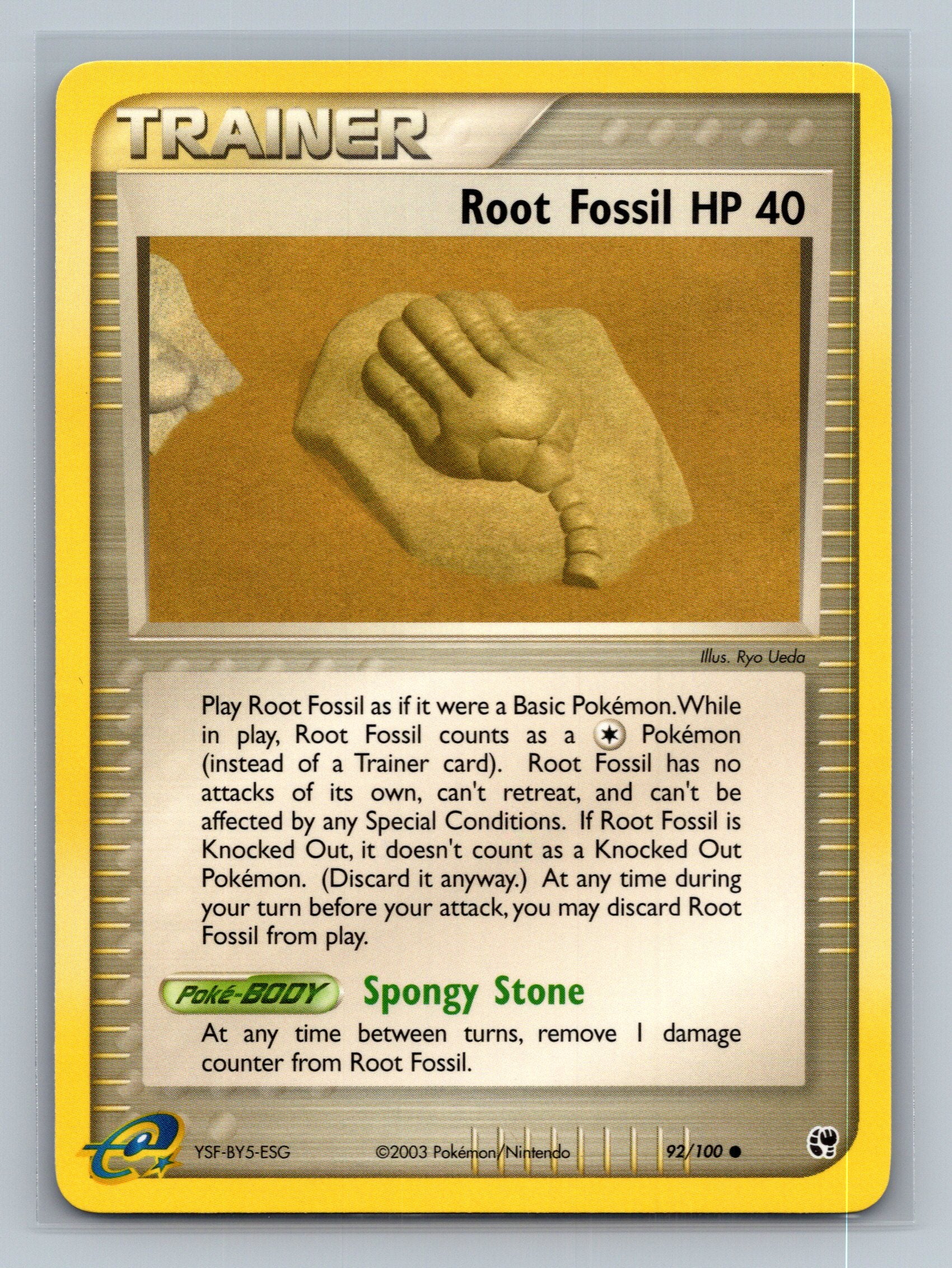 Root Fossil