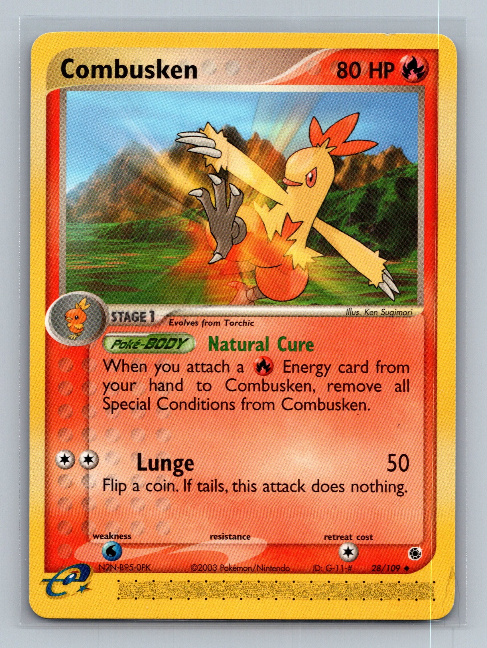 Combusken - 28/109