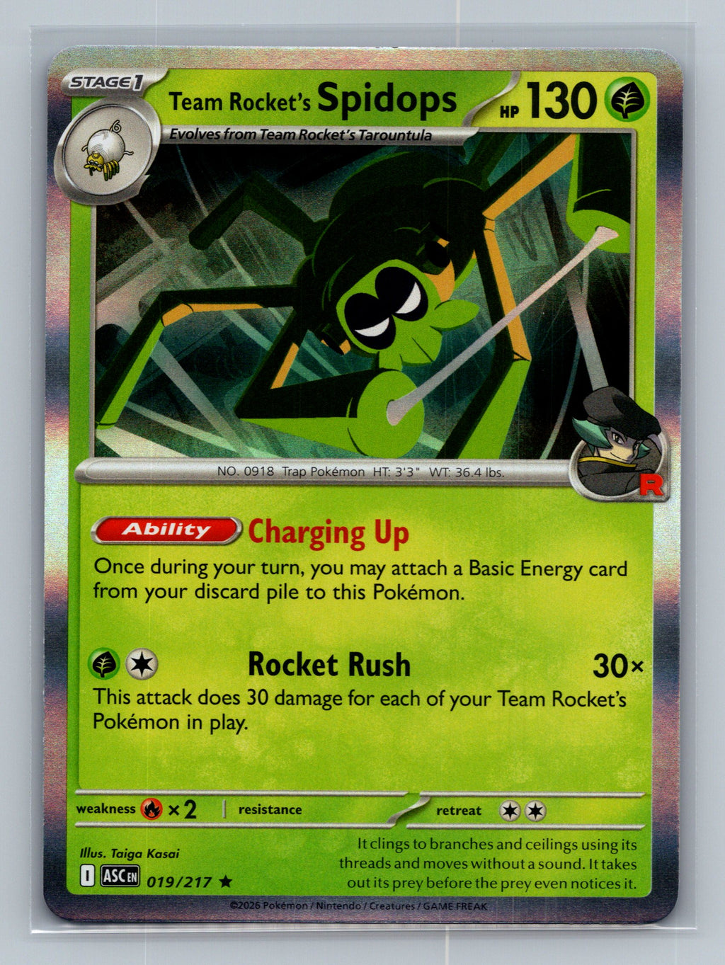 Team Rocket's Spidops