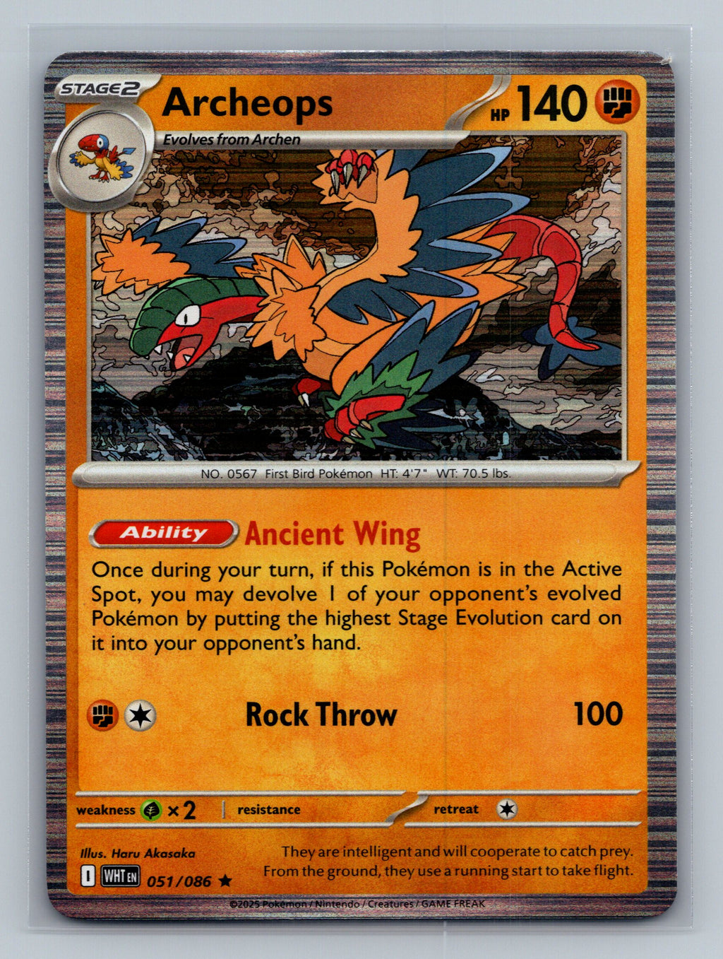 Archeops