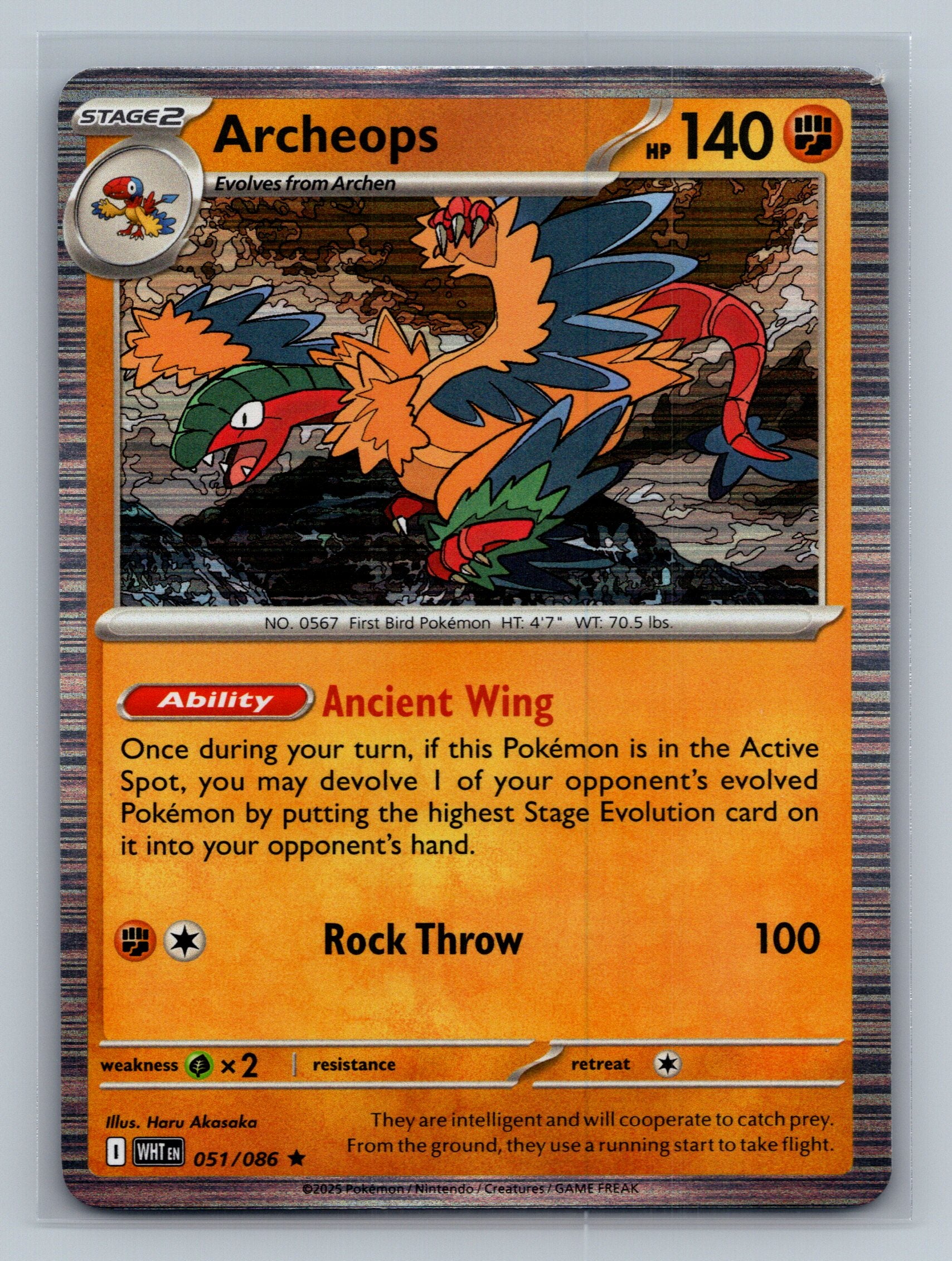 Archeops