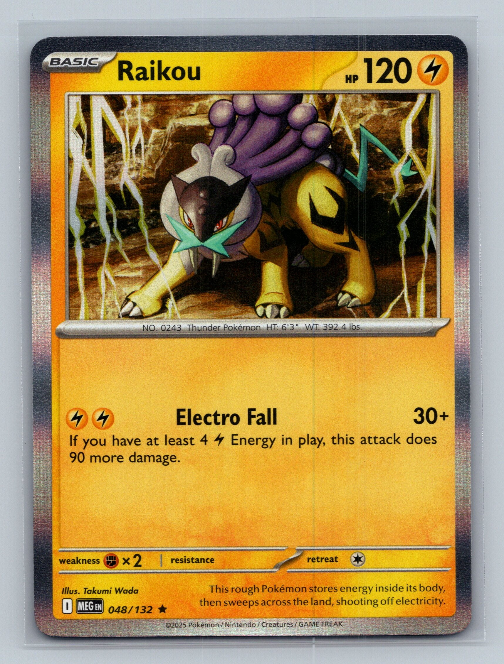 Raikou