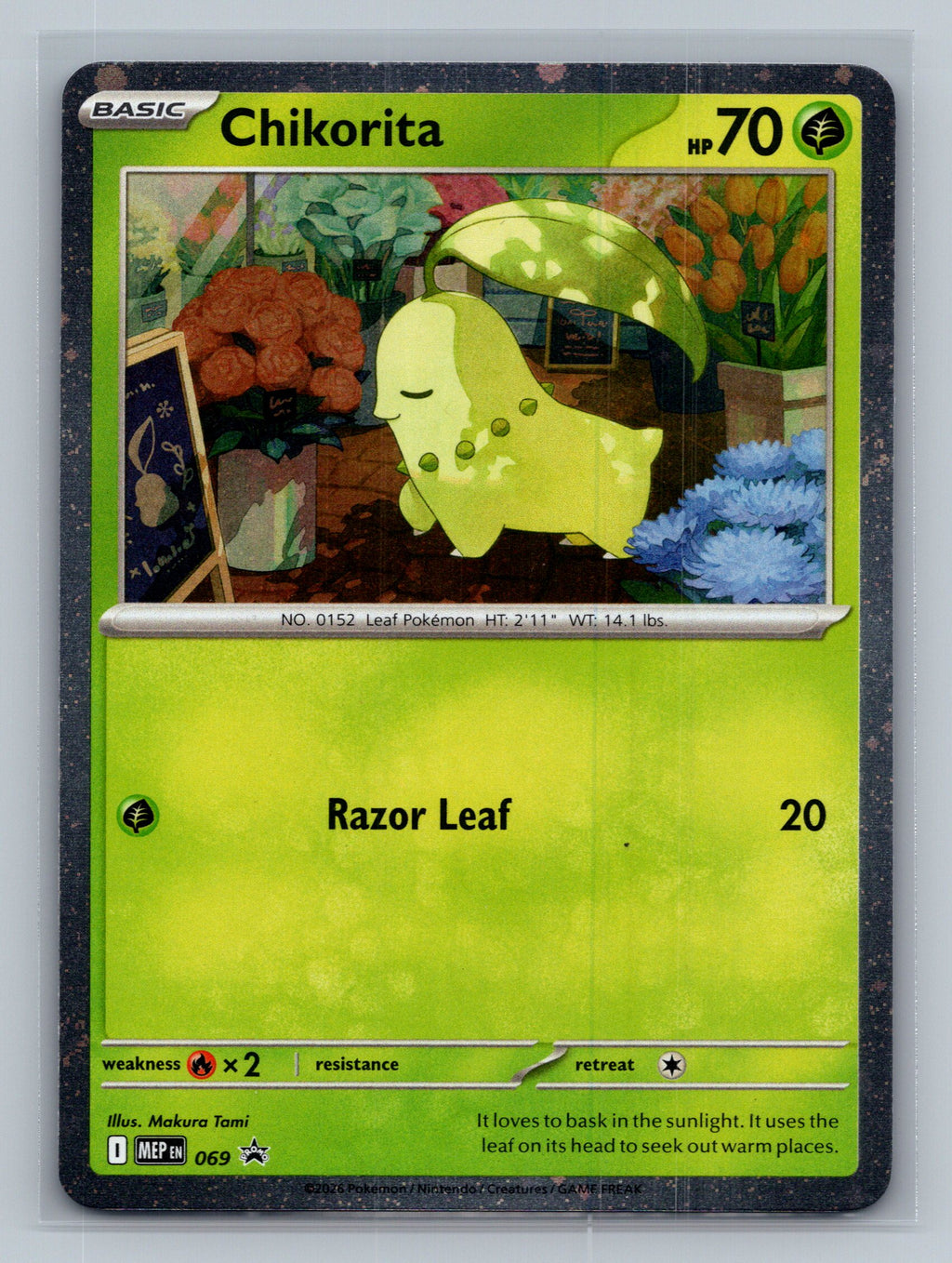 Chikorita (Cosmos Holo)