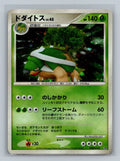 Torterra
