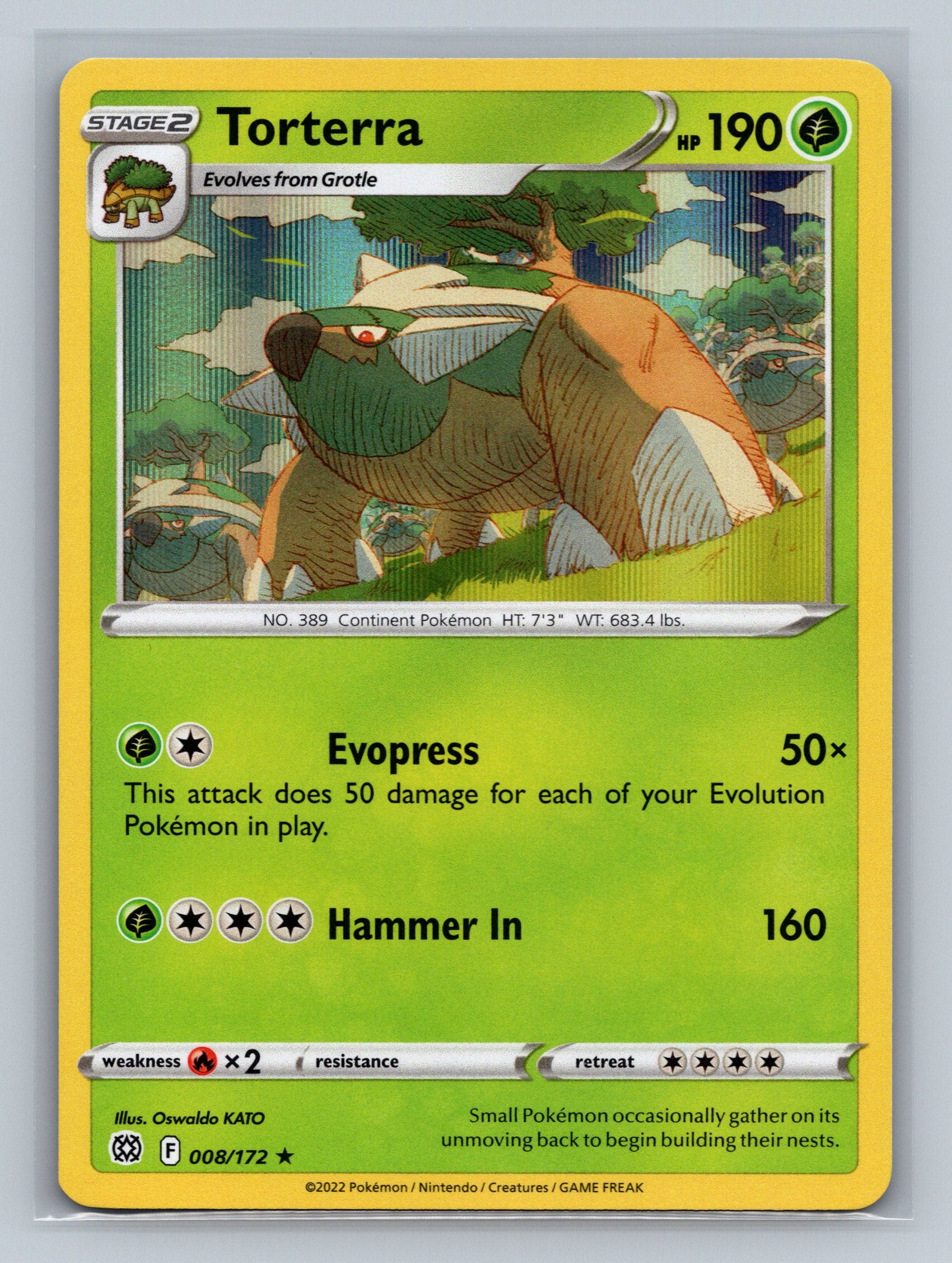 Torterra
