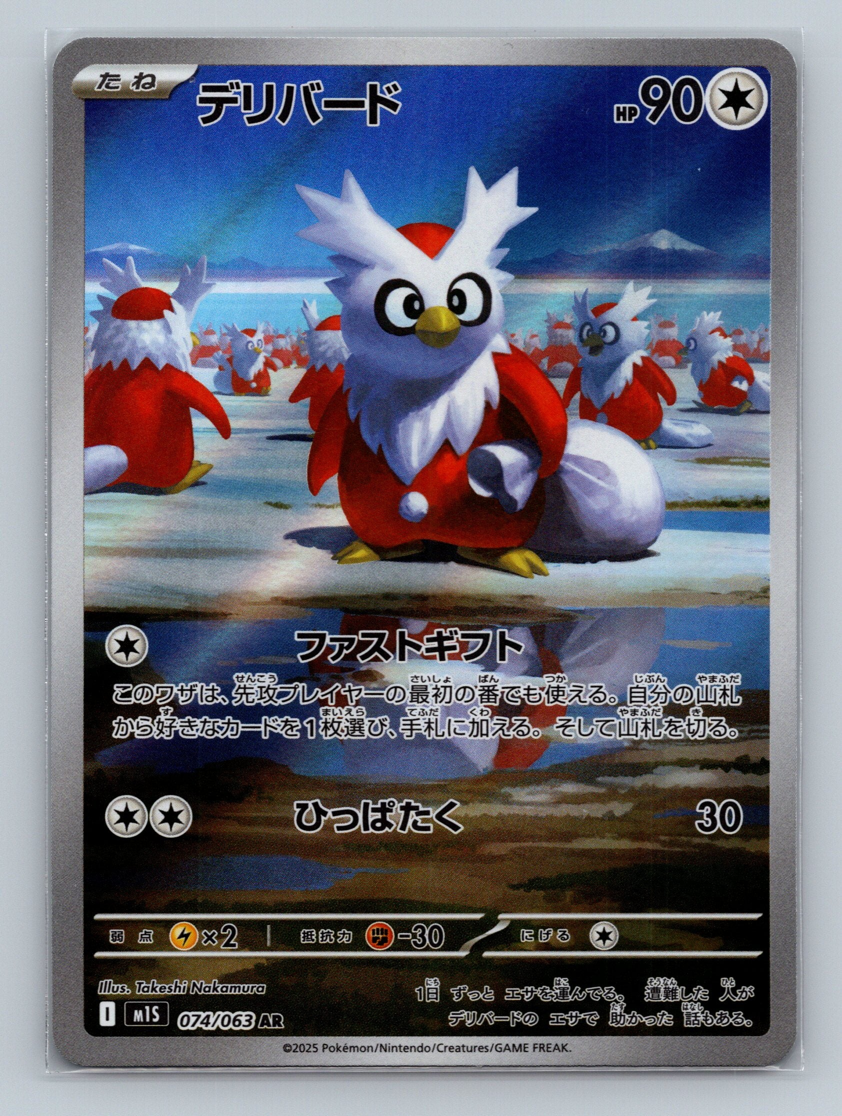Delibird - 074/063