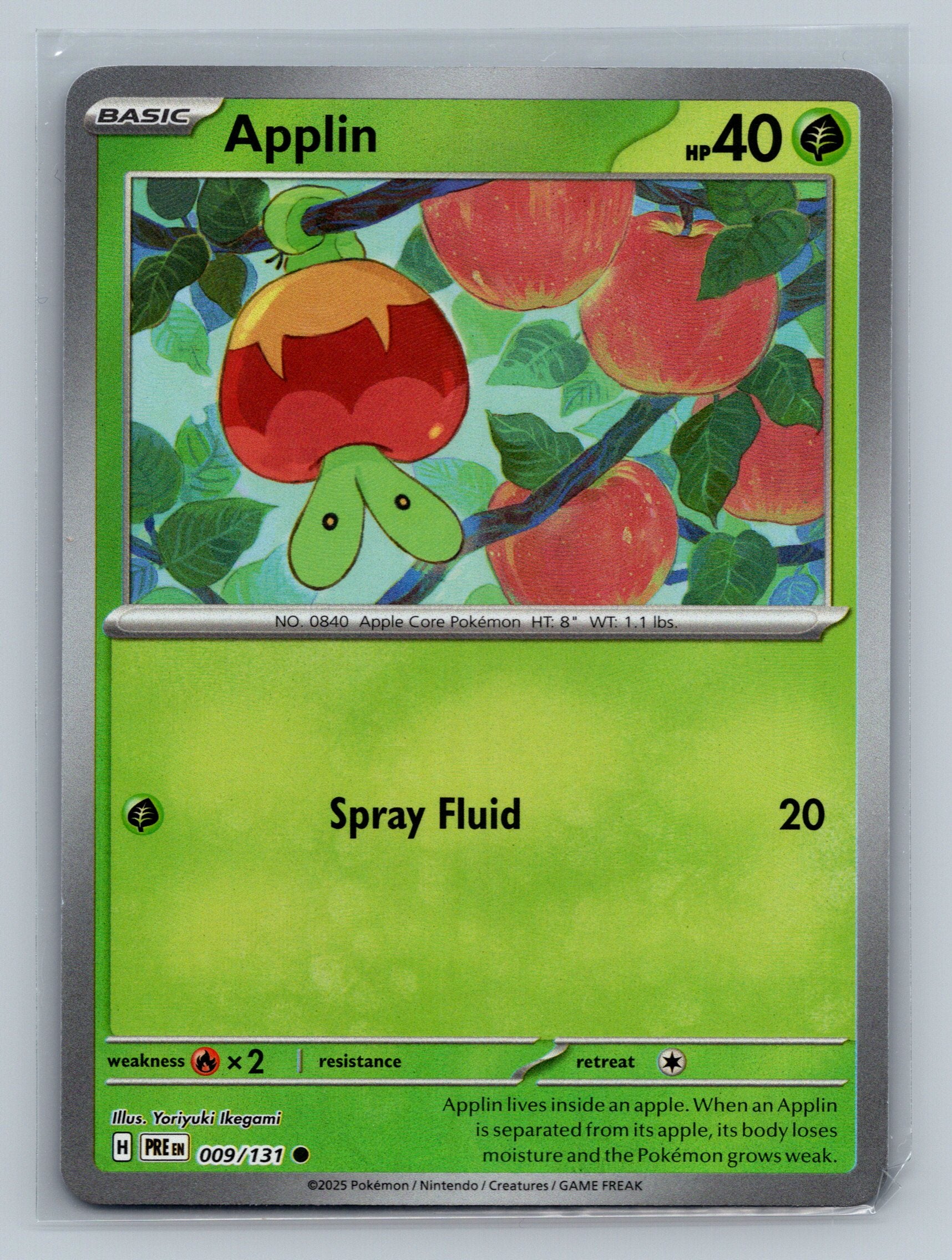 Applin (Poke Ball Pattern)