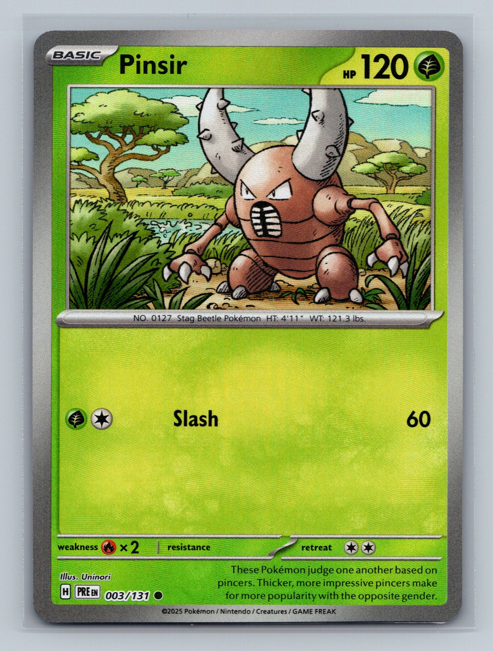 Pinsir (Master Ball Pattern)