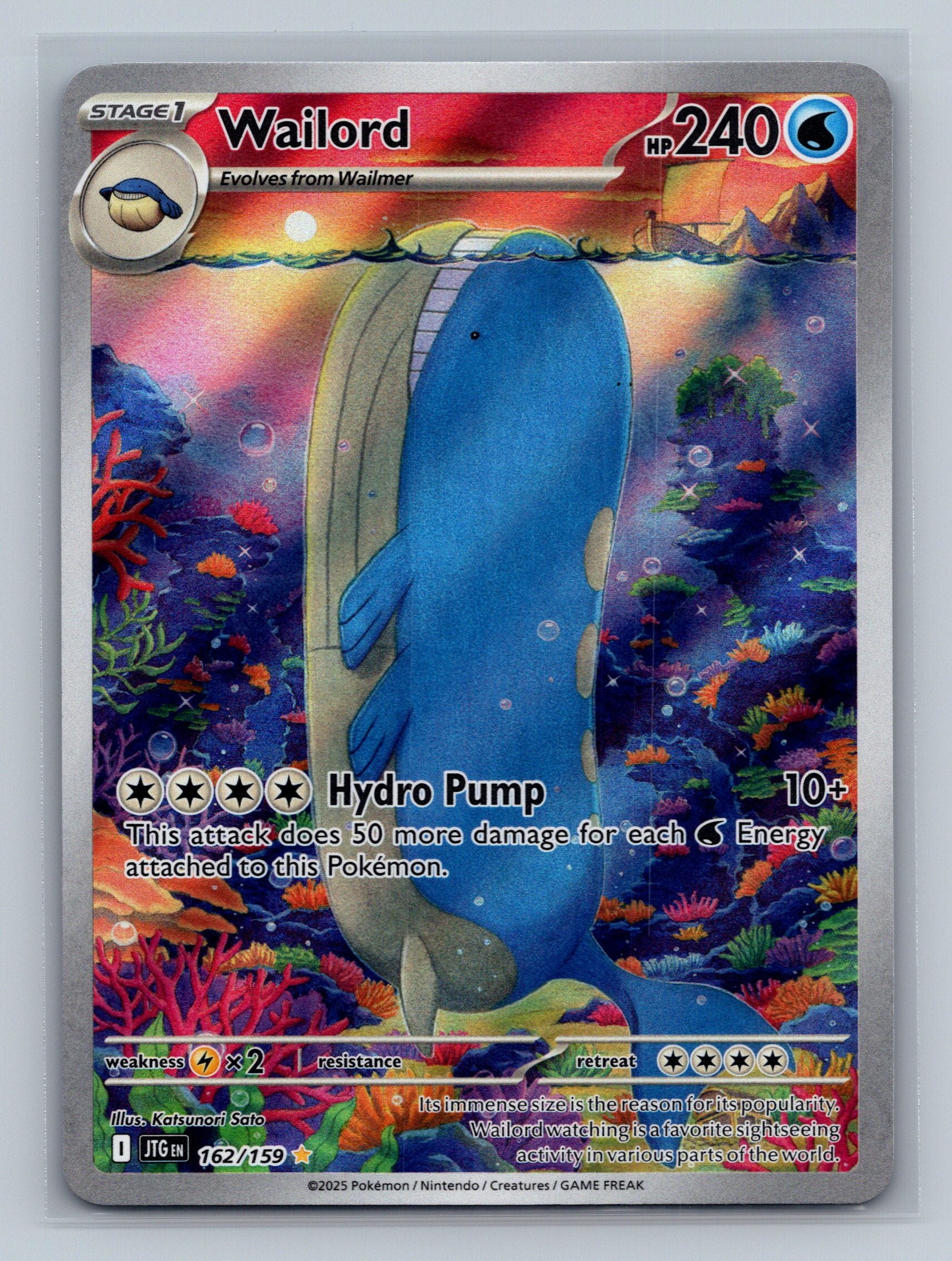 Wailord - 162/159