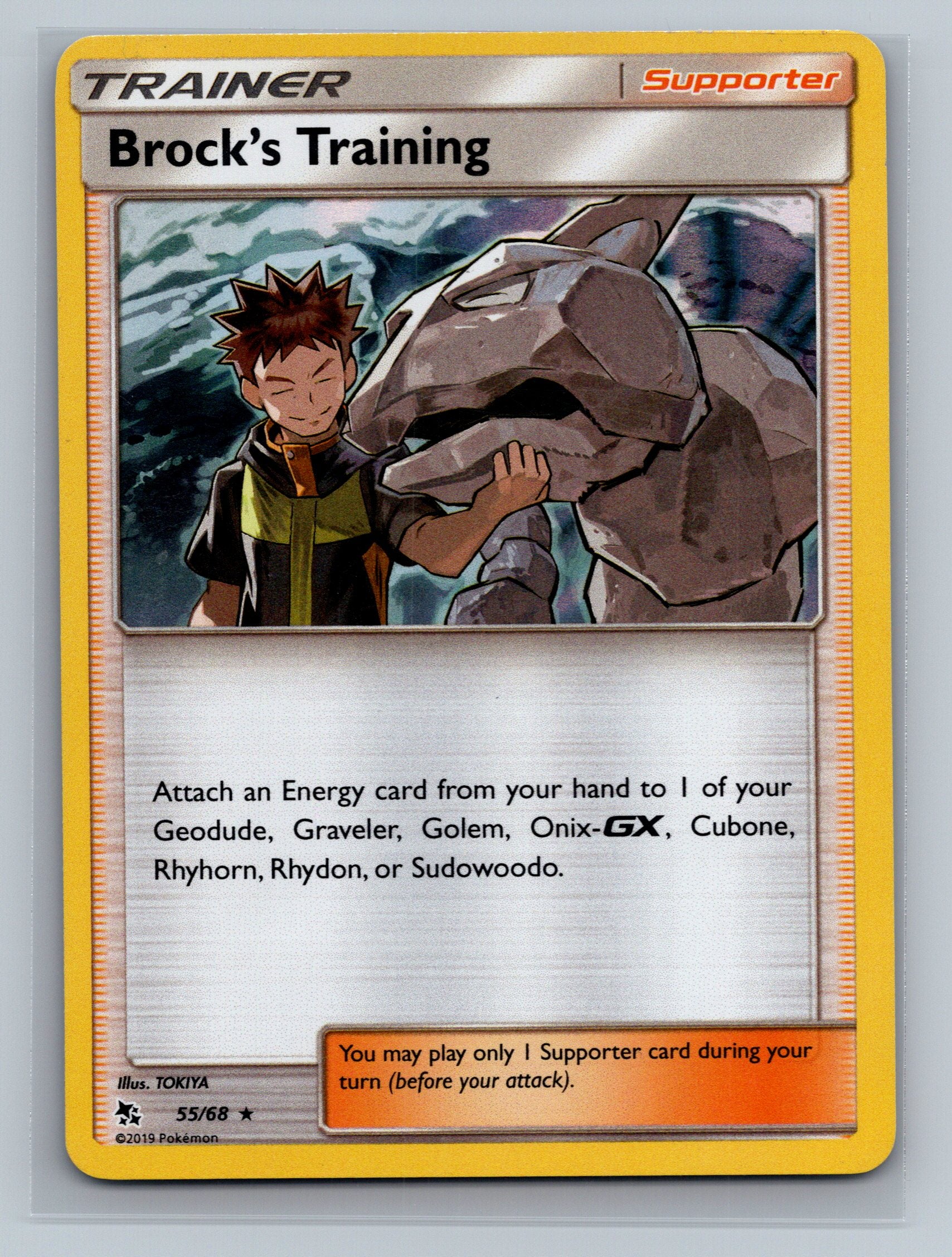 Brock's Training