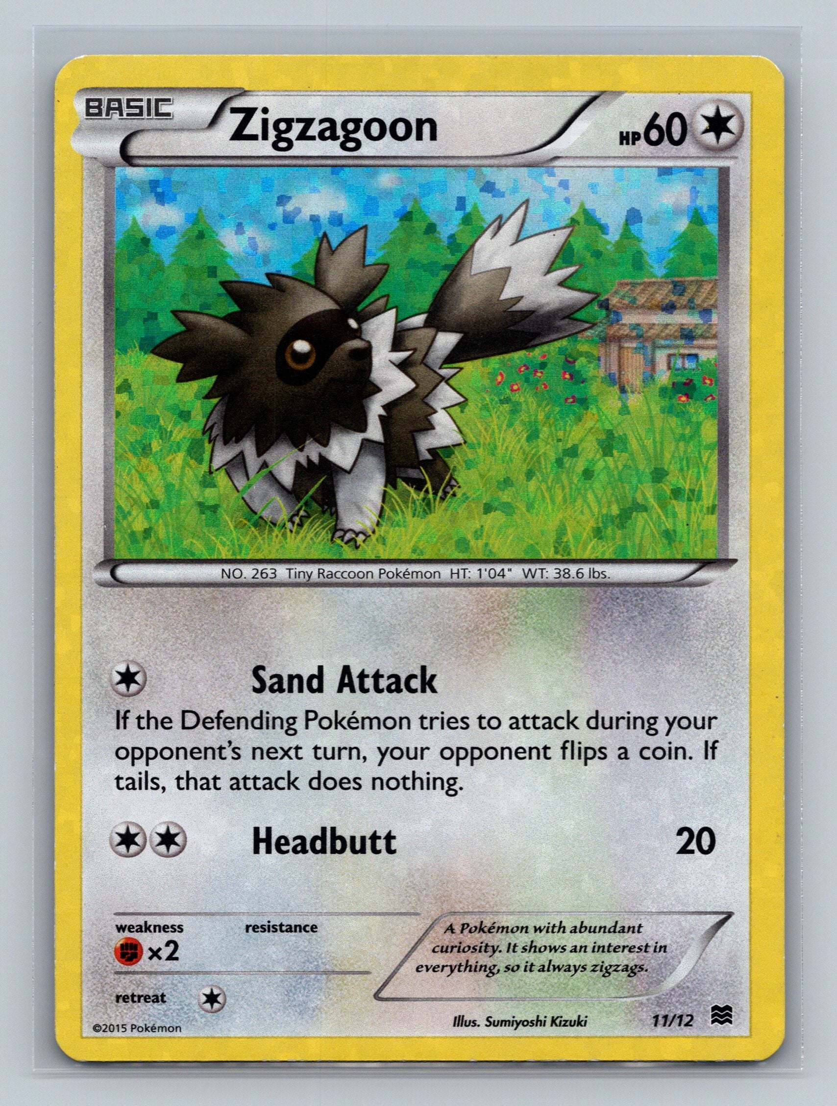 Zigzagoon - 11/12